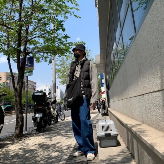 스타일 카드