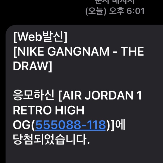 Jordan 1 Retro High OG Volt Gold 착용 스타일