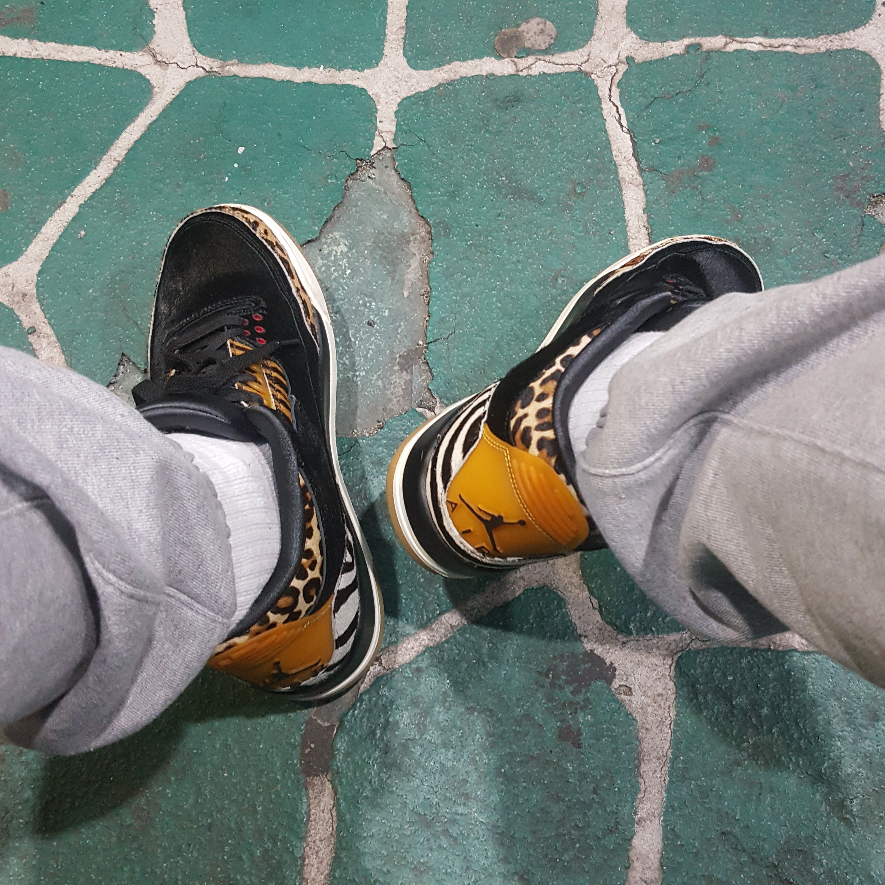Jordan 3 Retro SE Animal Instinct 착용 스타일