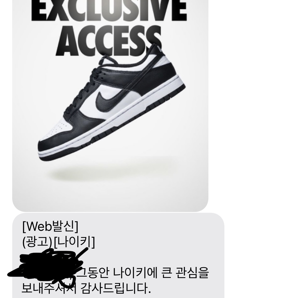 Nike Dunk Low Retro Black 착용 스타일