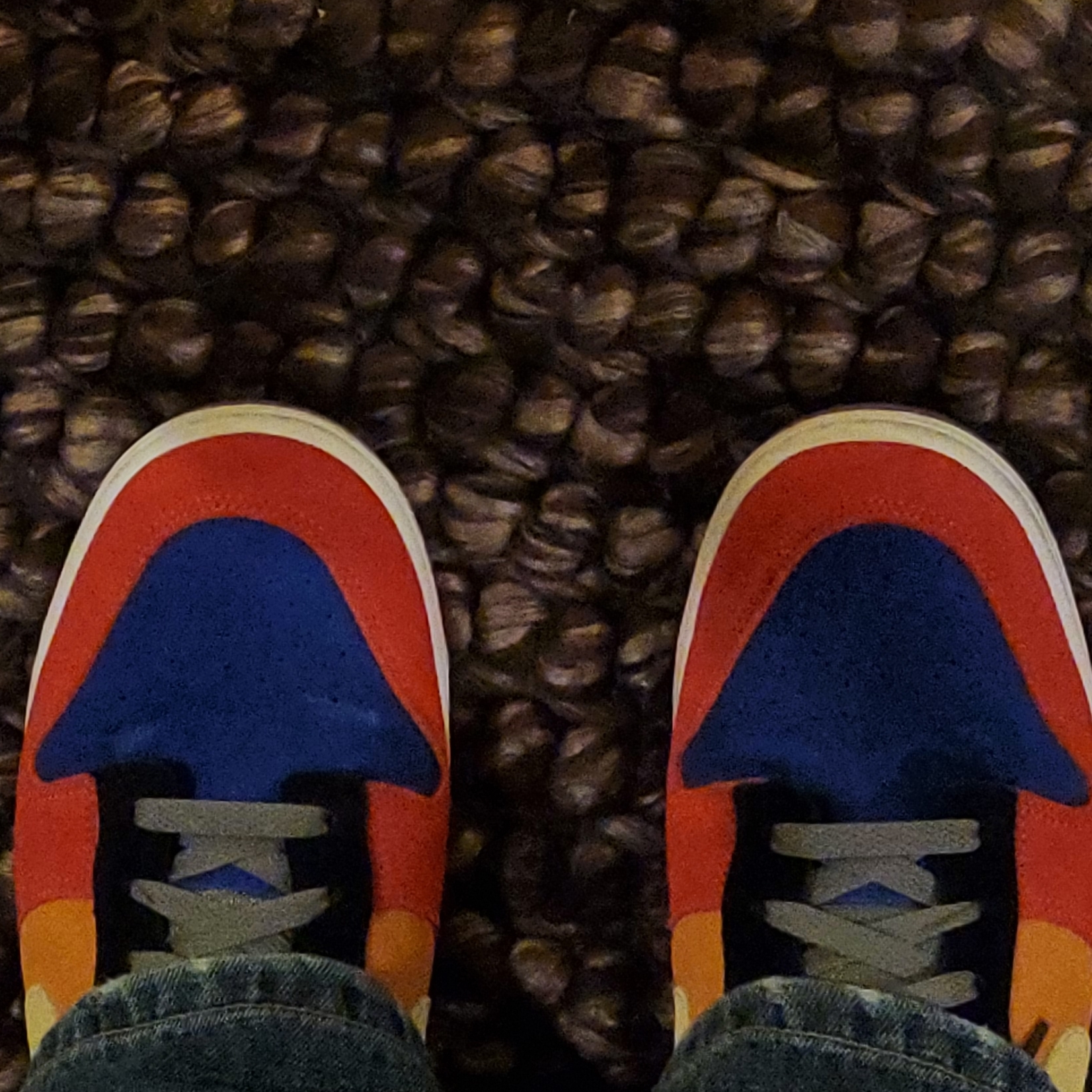 Nike Dunk Low SP Retro Viotech 2019 착용 스타일