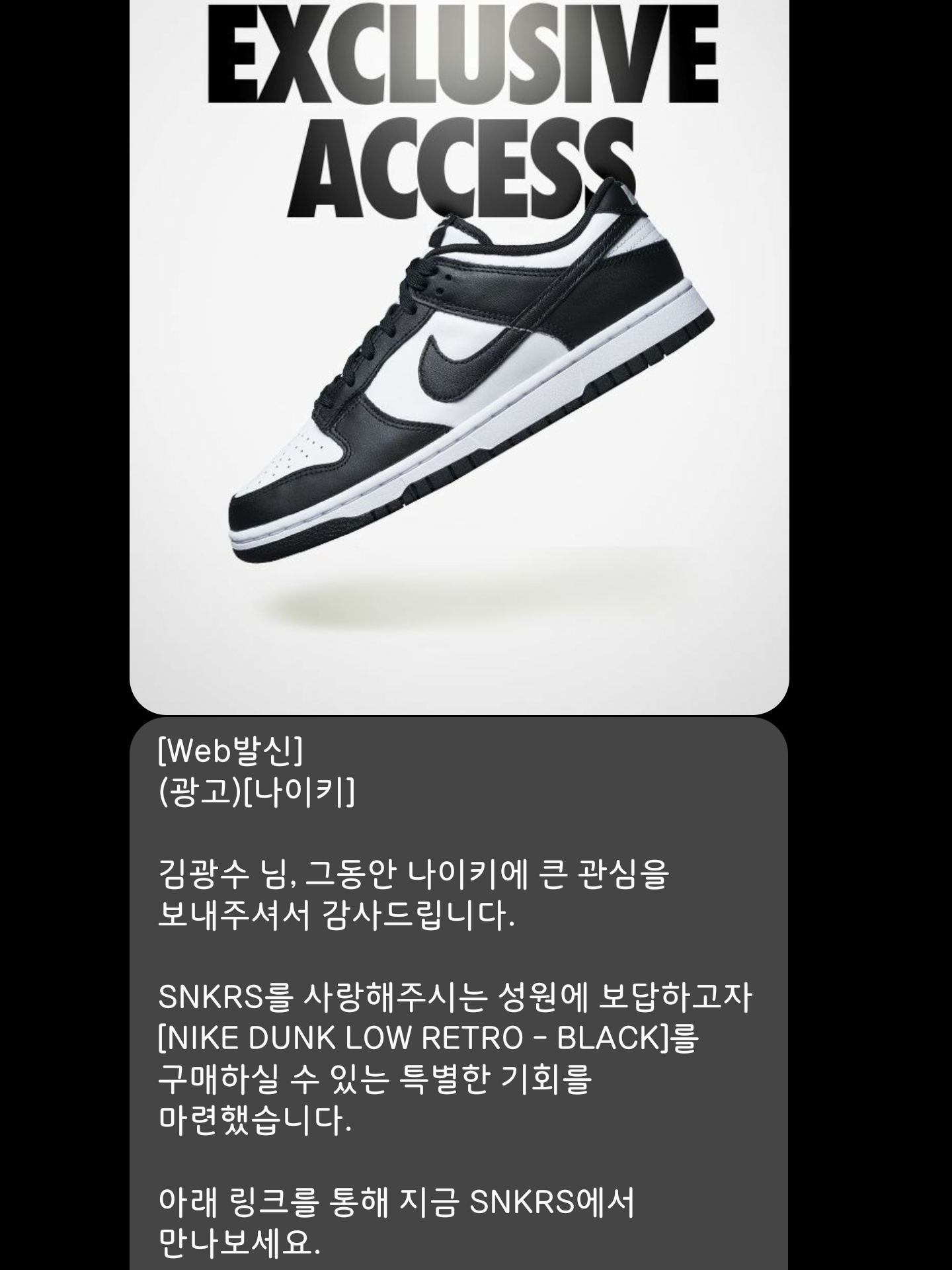 Nike Dunk Low Retro Black 착용 스타일