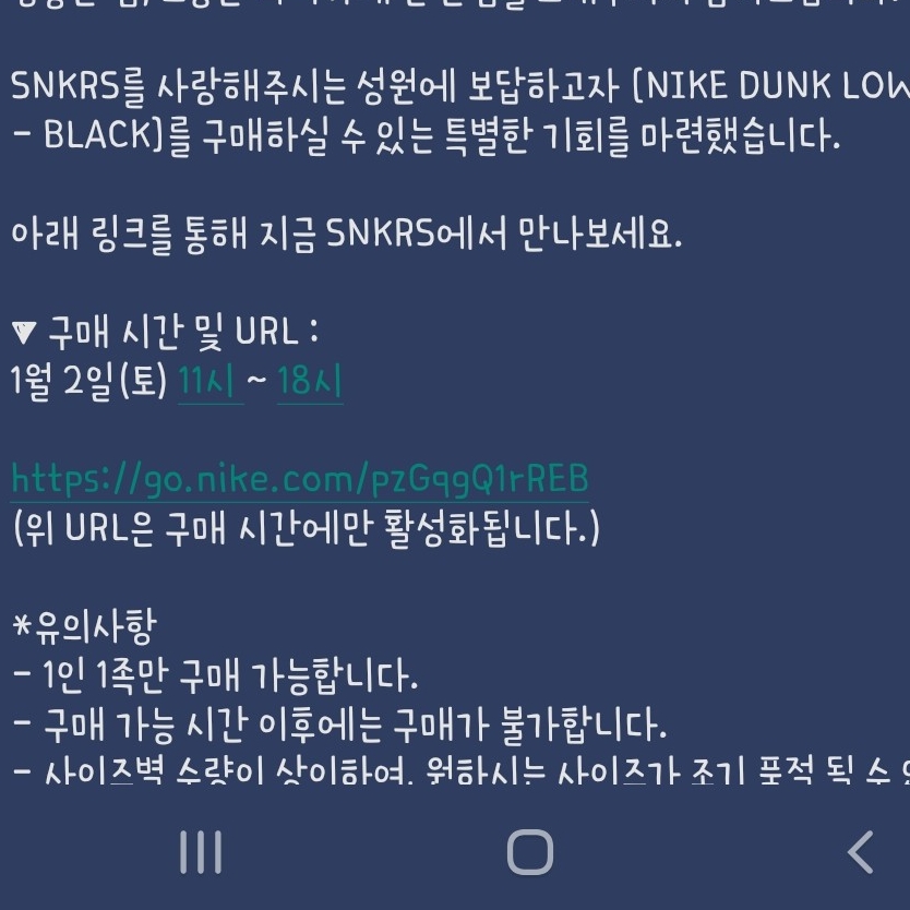 Nike Dunk Low Retro Black 착용 스타일 - 2
