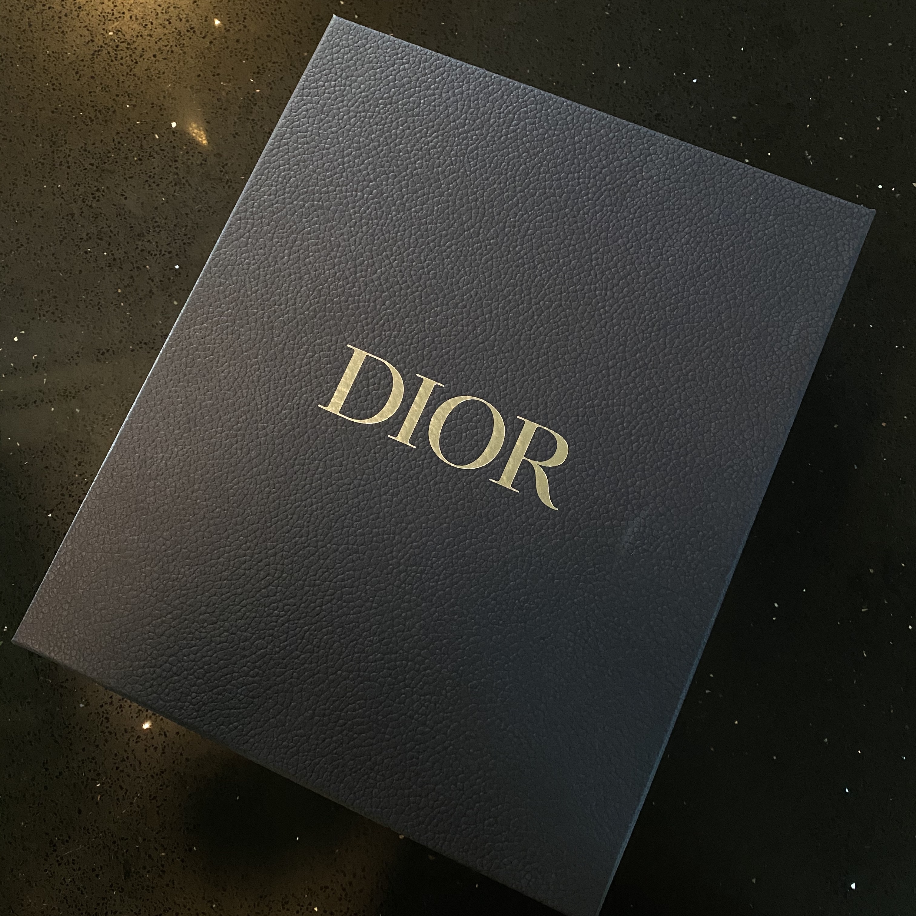 Dior x Shawn B23 High Dior Oblique Canvas Bee Embroidery Patch 착용 스타일 - 3
