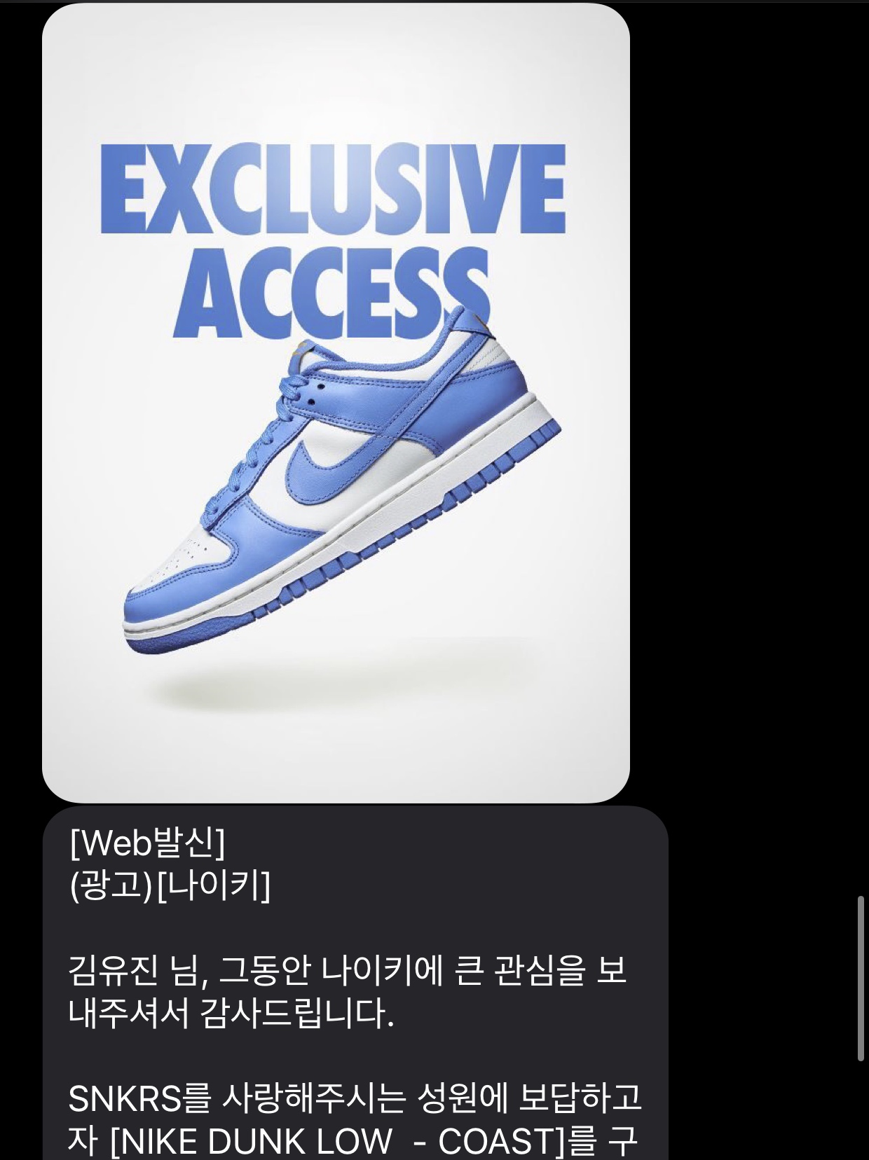 (W) Nike Dunk Low Coast 착용 스타일