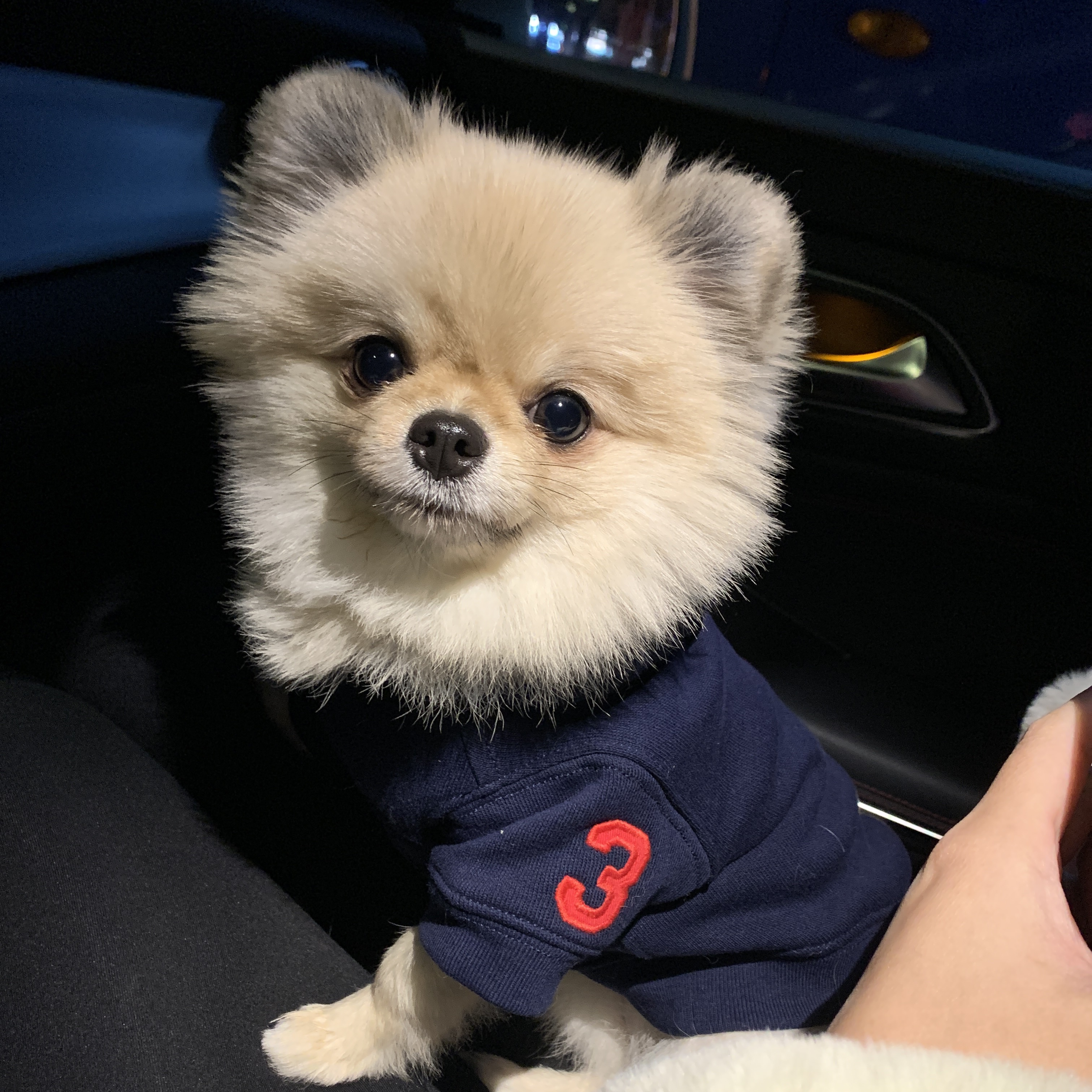 Essentials 3D Silicon Applique Pullover Hoodie Dark Slate/Black 2020, Essentials Fleece Lounge Pants Navy/Dark Navy - Ssense Exclusive 착용 스타일 - 2