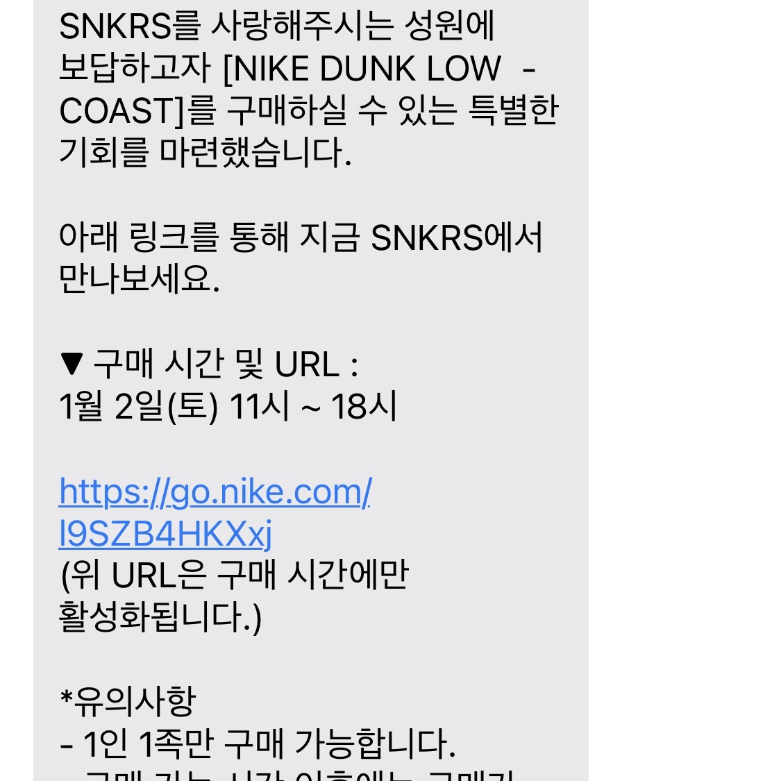 (W) Nike Dunk Low Coast 착용 스타일