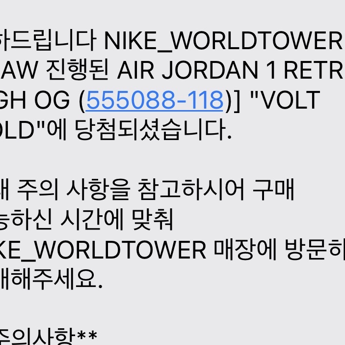 Jordan 1 Retro High OG Volt Gold 착용 스타일