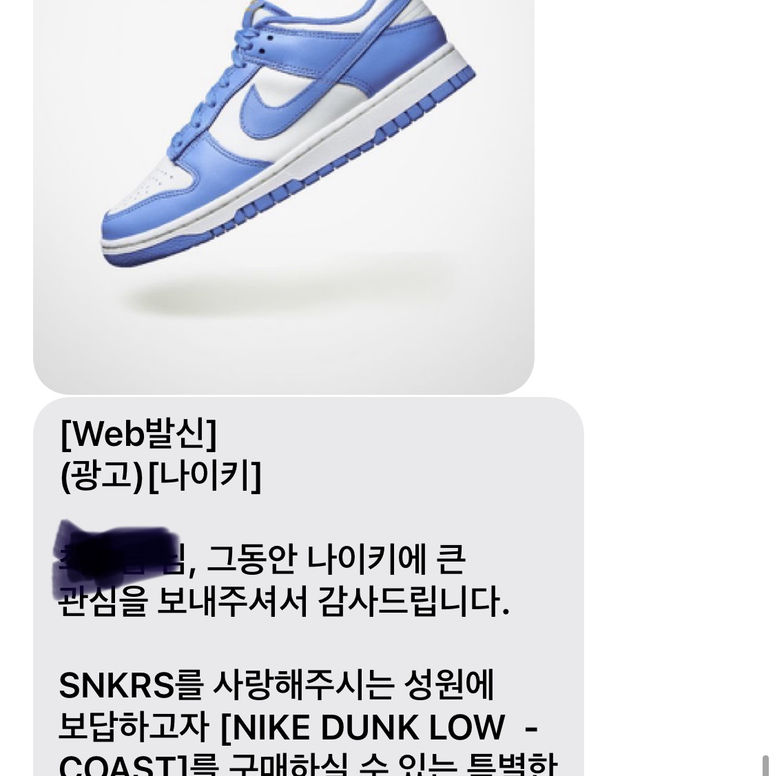 (W) Nike Dunk Low Coast 착용 스타일