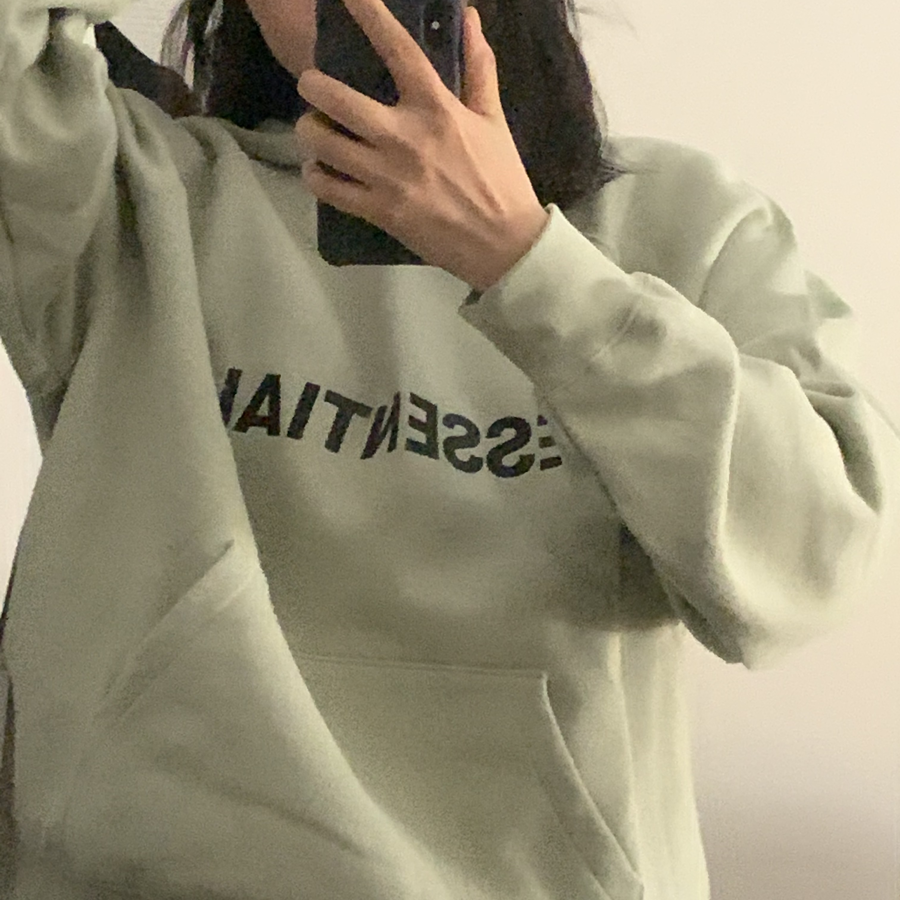 Essentials 3D Silicon Applique Pullover Hoodie Alfafa Sage - 20FW 착용 스타일