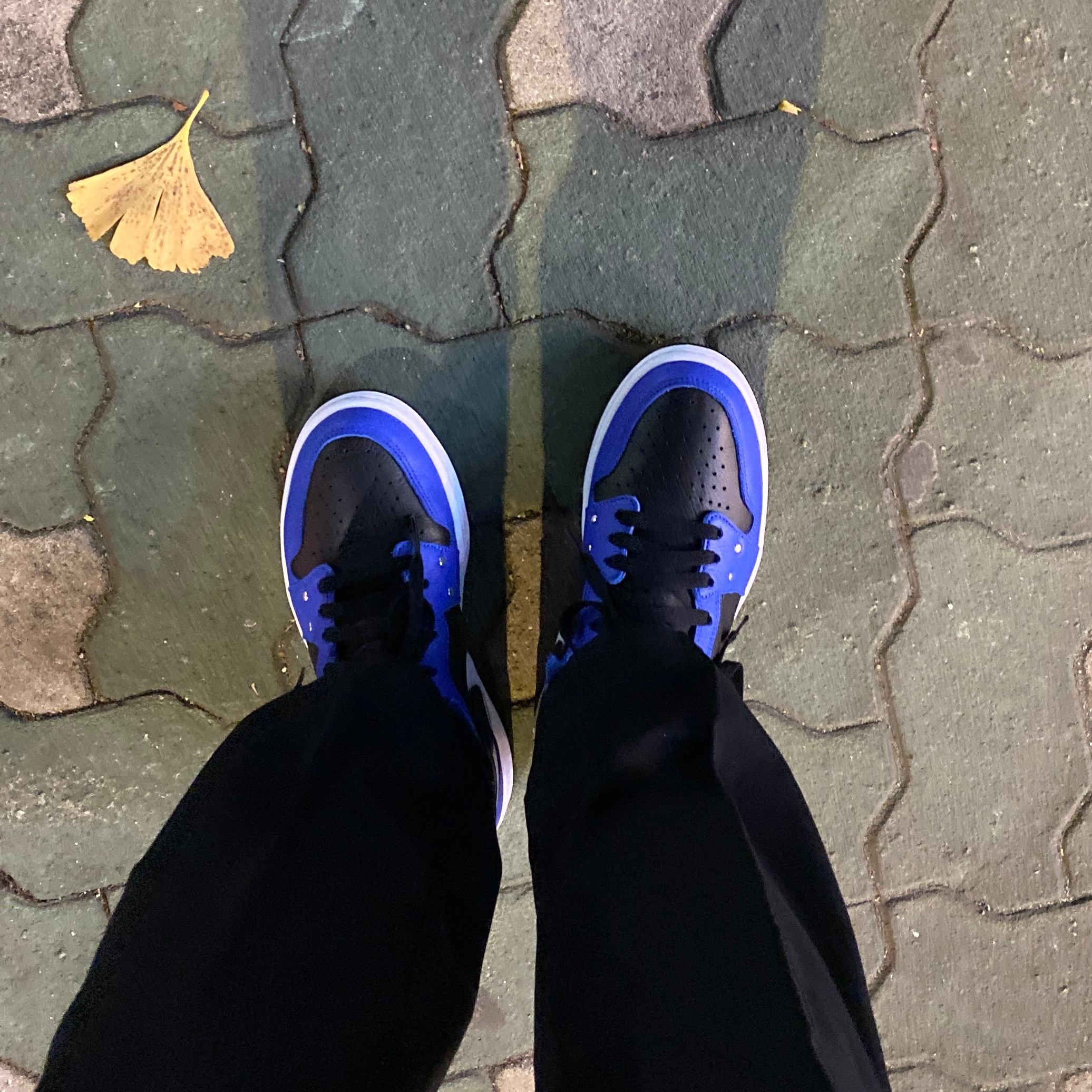 (W) Jordan 1 Zoom Air CMFT SE Sisterhood 착용 스타일