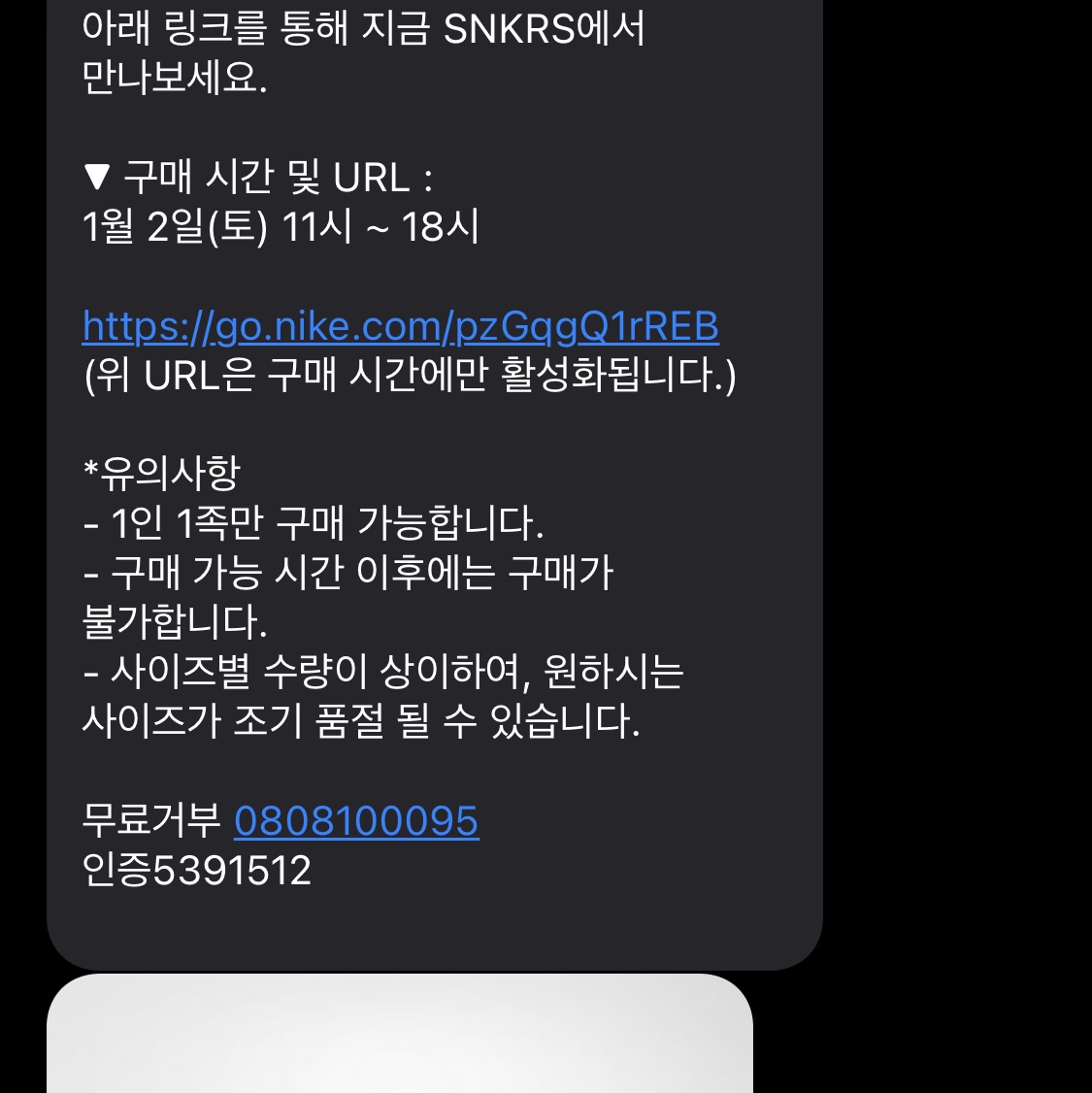 Nike Dunk Low Retro Black 착용 스타일 - 1