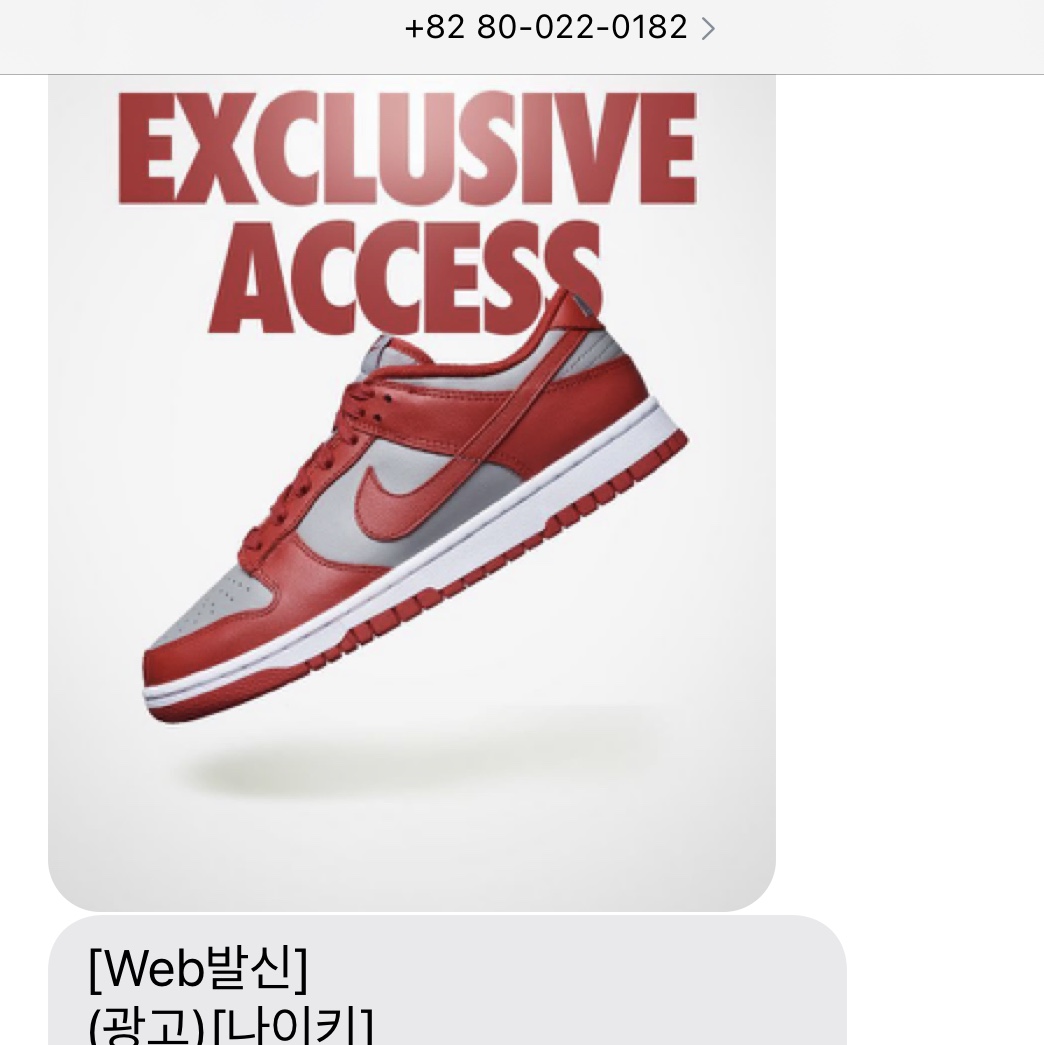 Nike Dunk Low Retro Medium Grey 착용 스타일