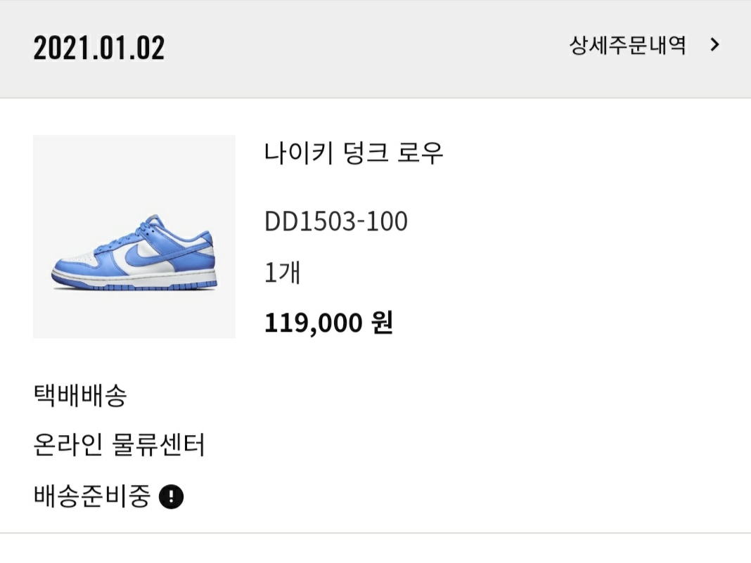 (W) Nike Dunk Low Coast 착용 스타일