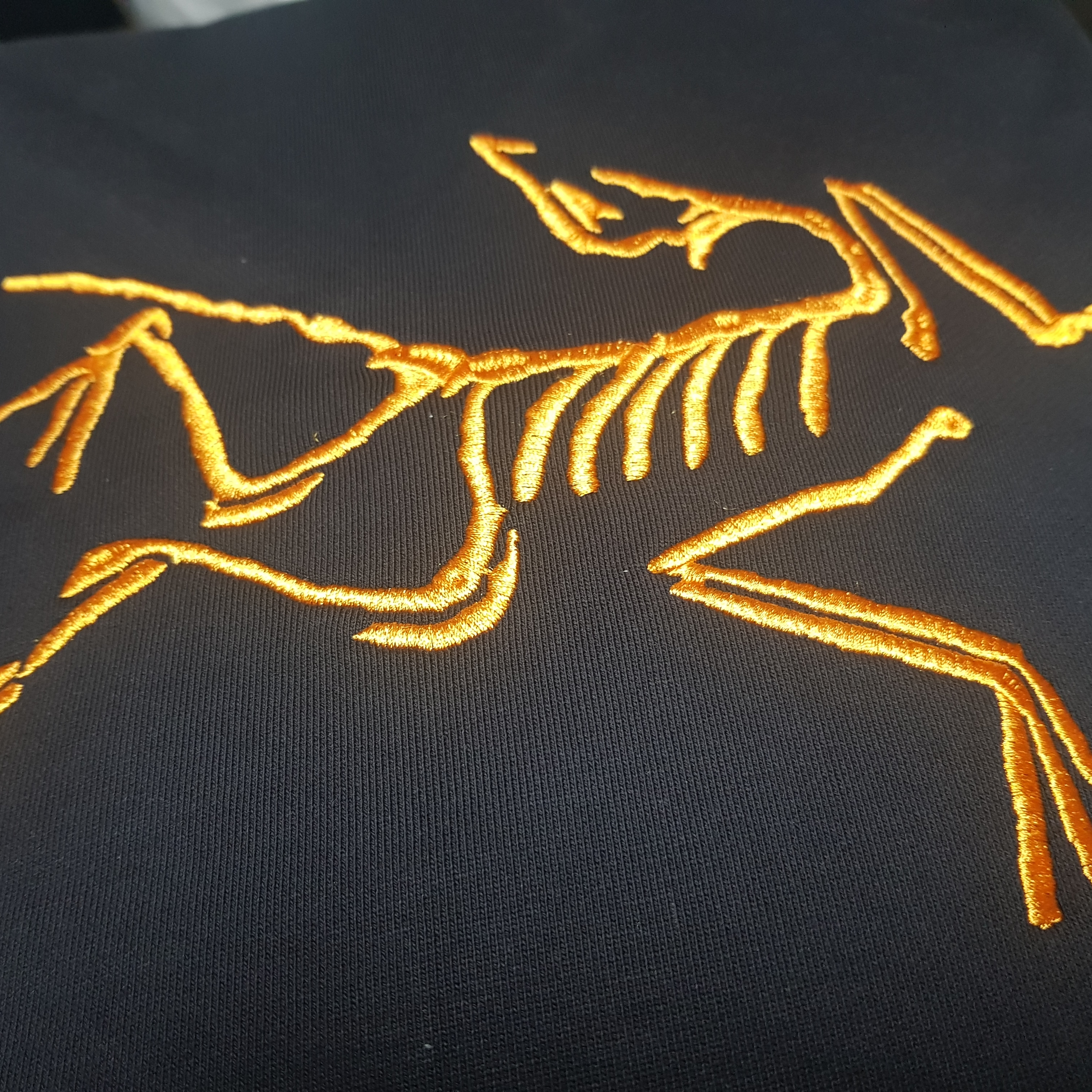 Palace x Arc'teryx Hood Black - 20FW 착용 스타일 - 2