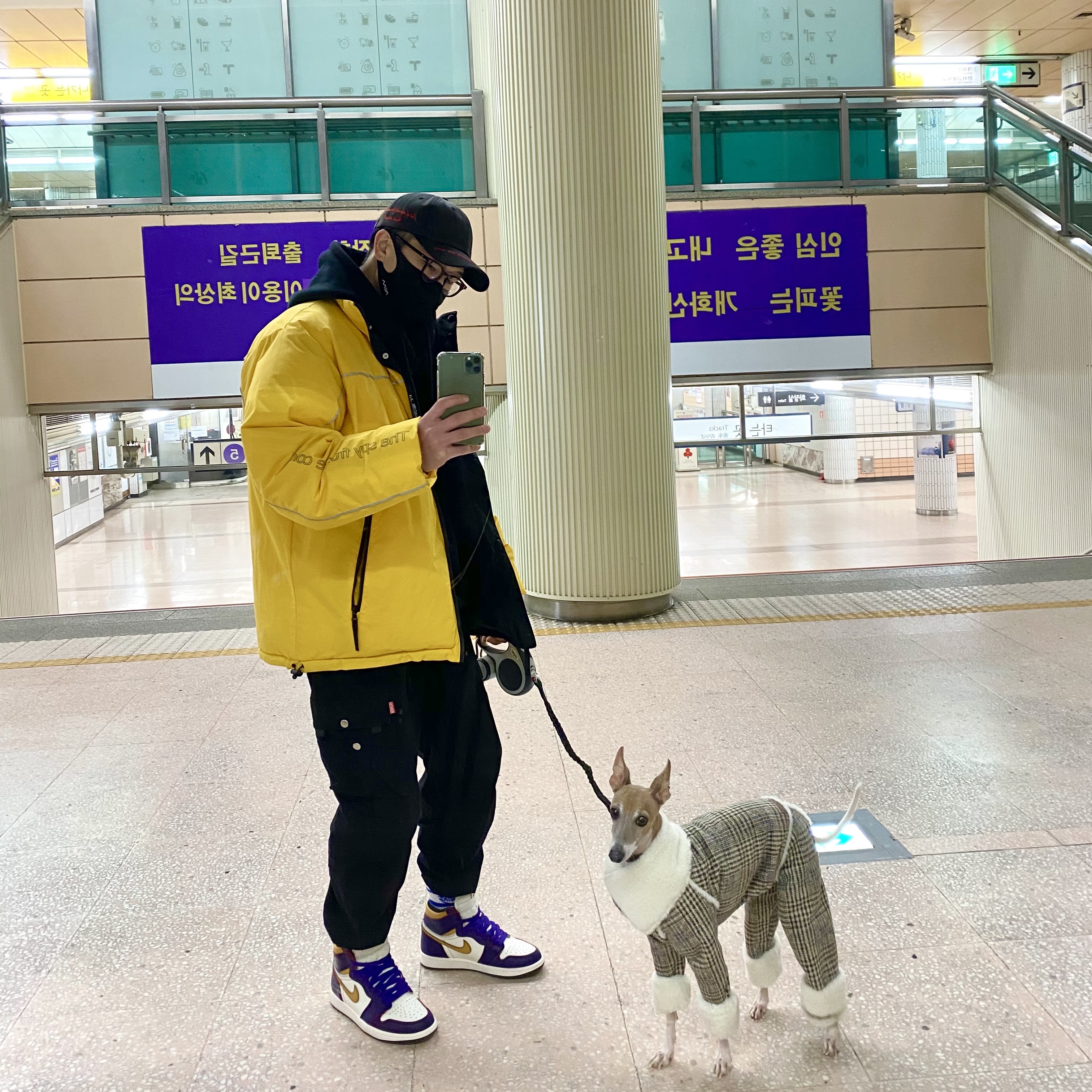 ์์
์ด๋ฏธ์ง