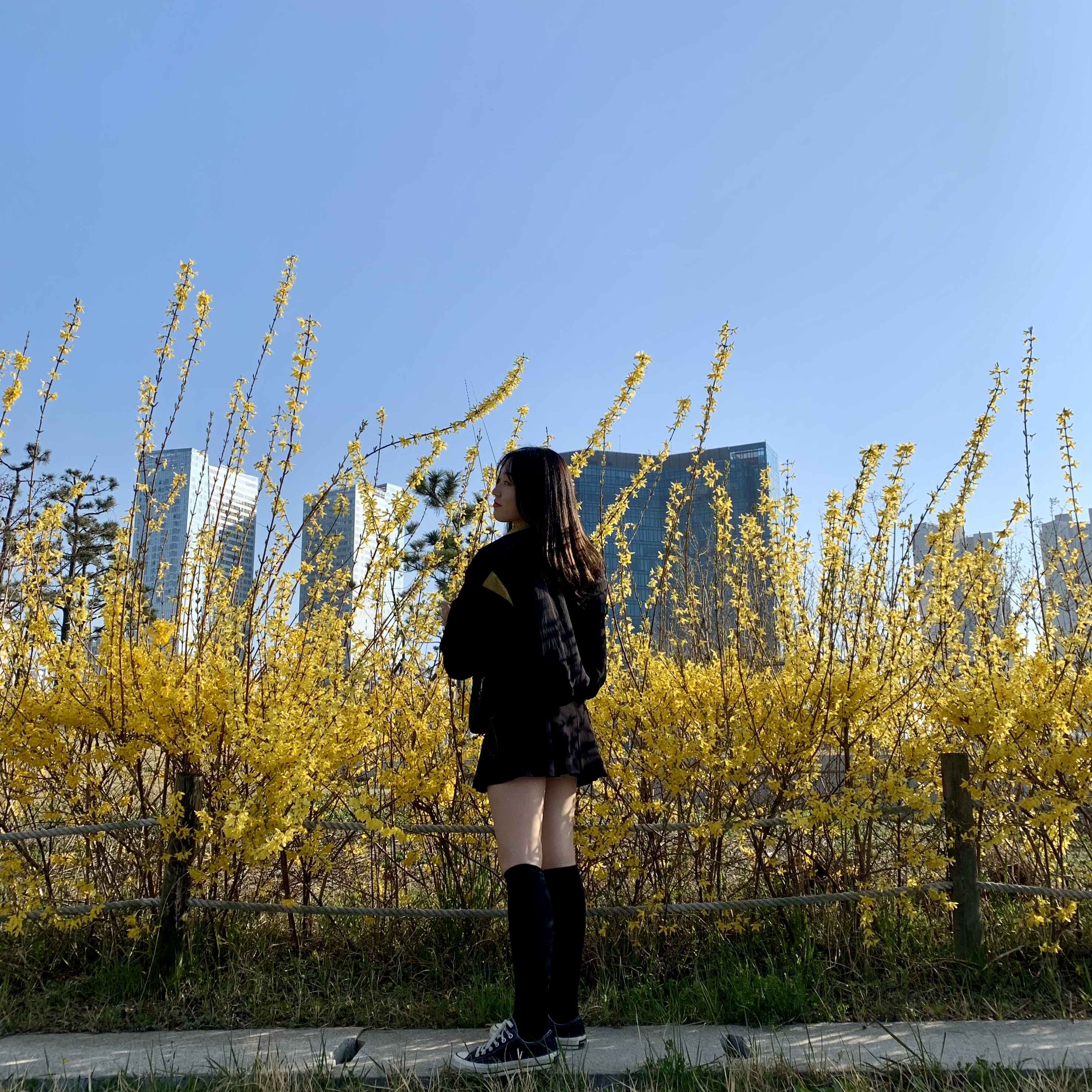KREAM 스타일 - 2