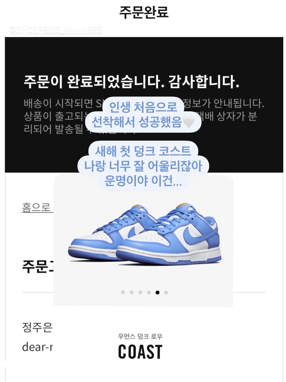 (W) Nike Dunk Low Coast 착용 스타일