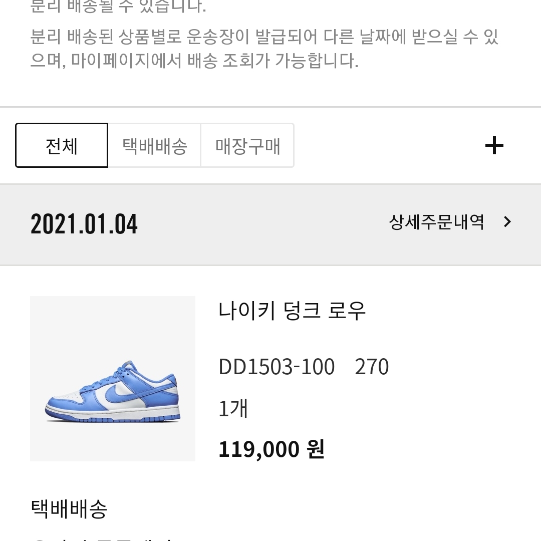 (W) Nike Dunk Low Coast 착용 스타일