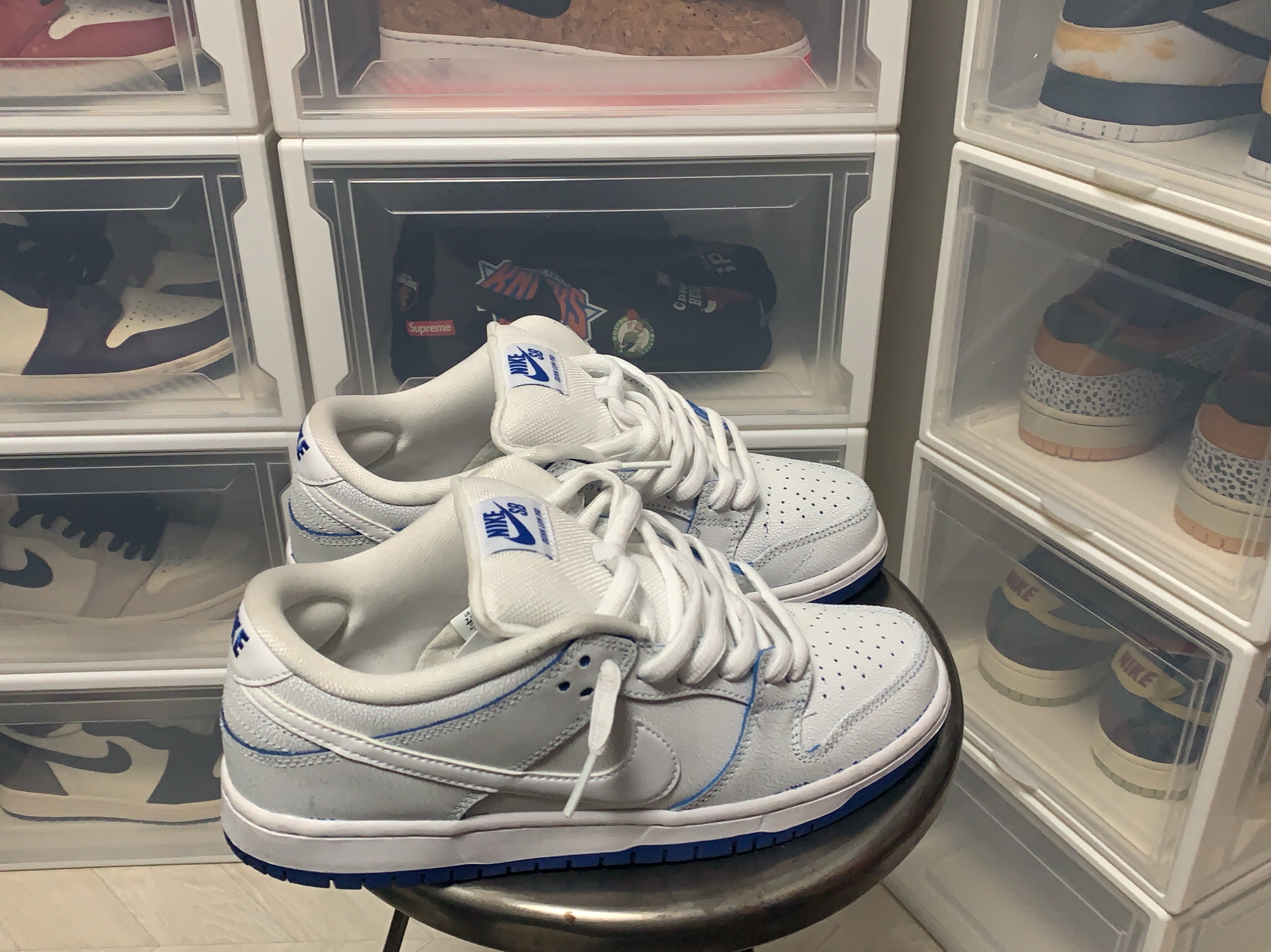 Nike SB Dunk Low Premium White Game Royal 착용 스타일 - 1