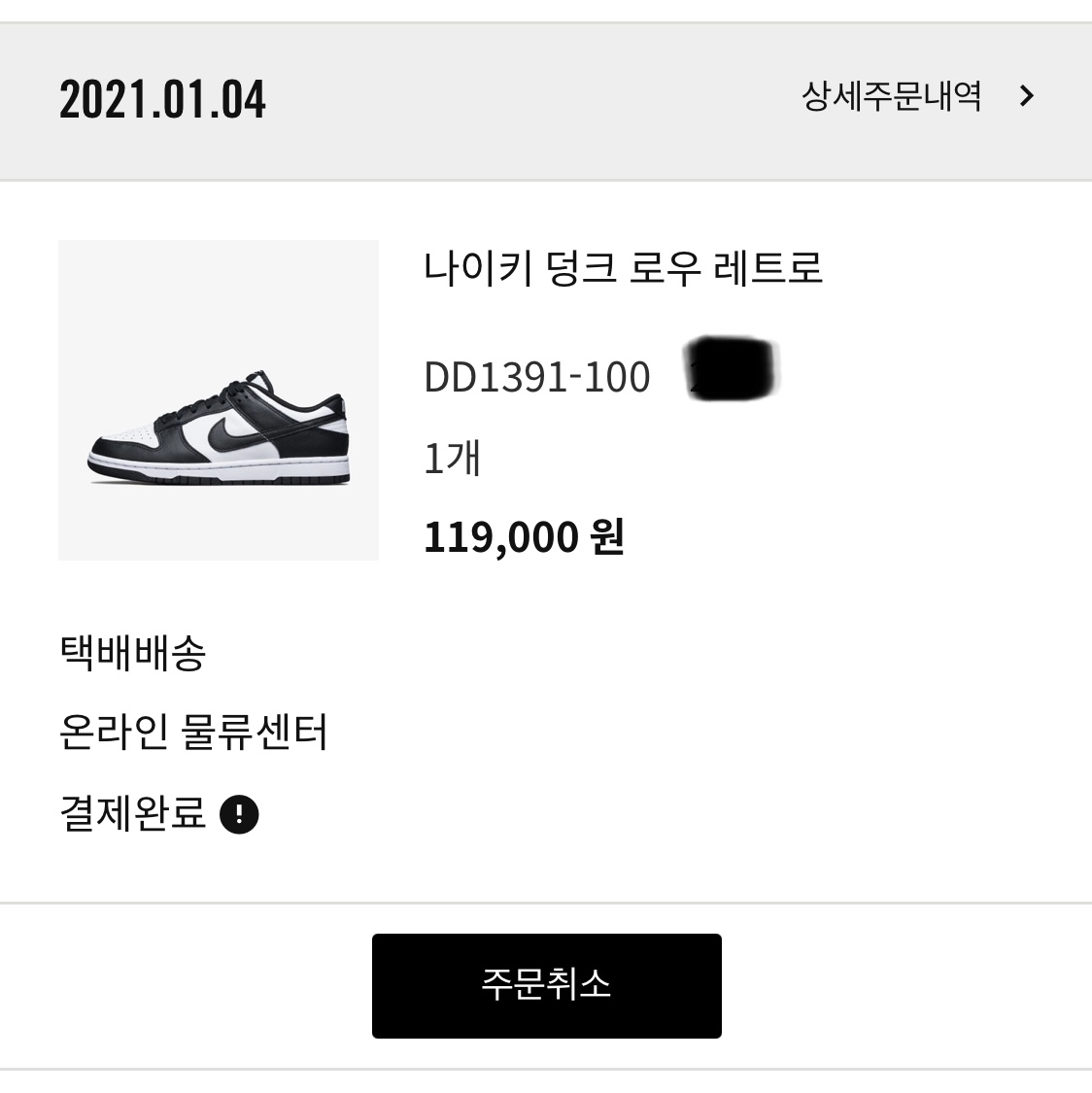 Nike Dunk Low Retro Black 착용 스타일