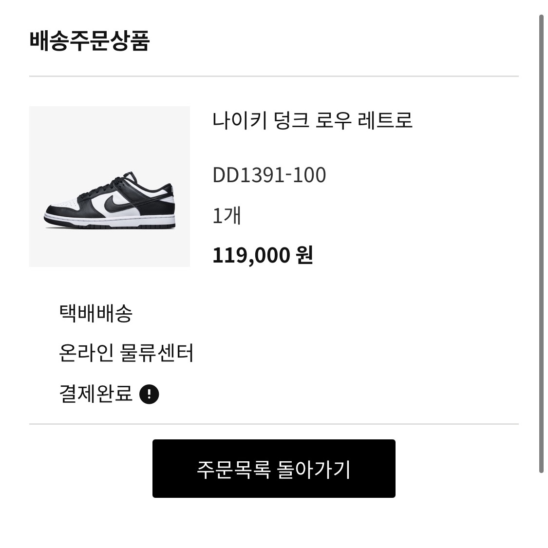 Nike Dunk Low Retro Black 착용 스타일
