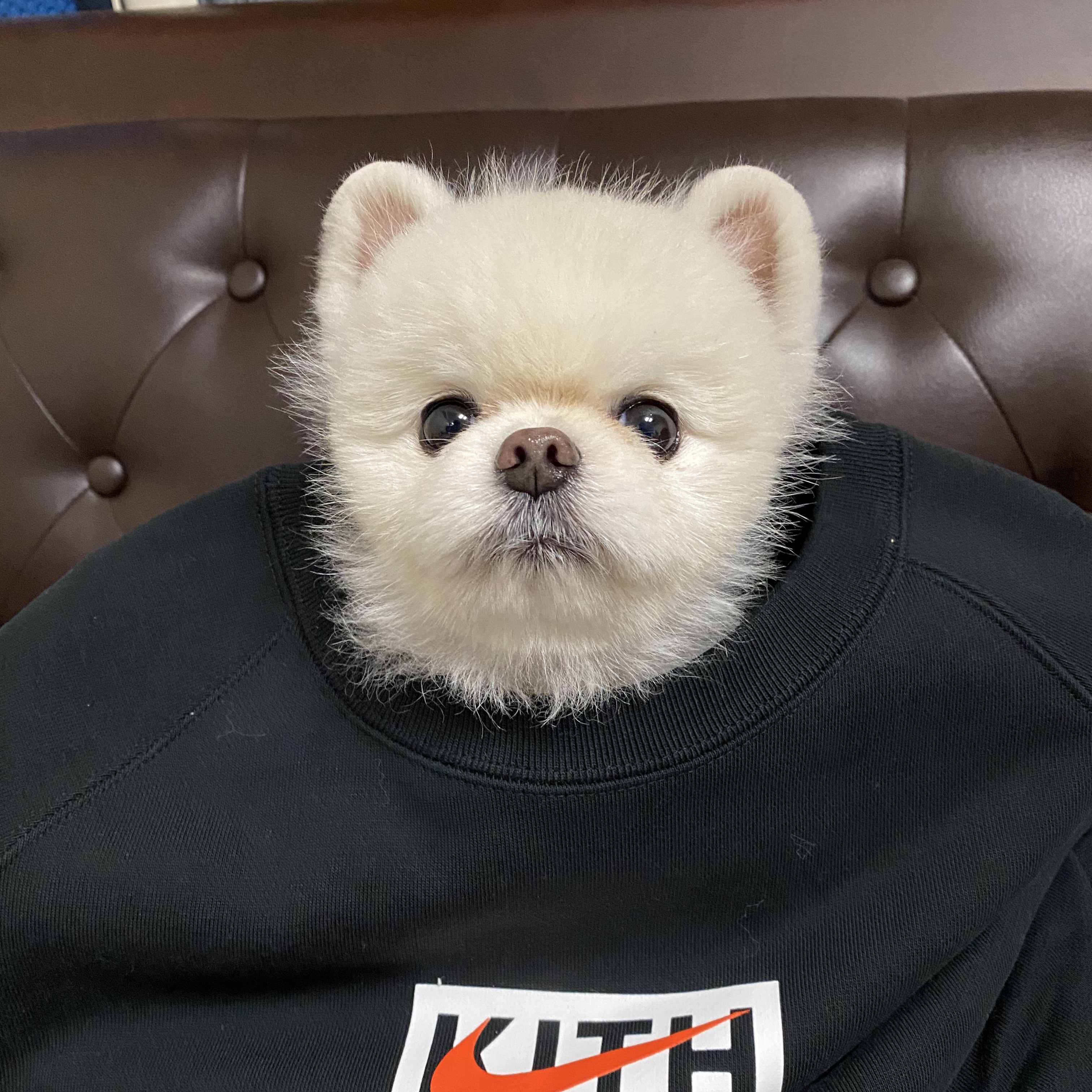 Nike x Kith New York Knicks Fleece Crewneck Black 착용 스타일