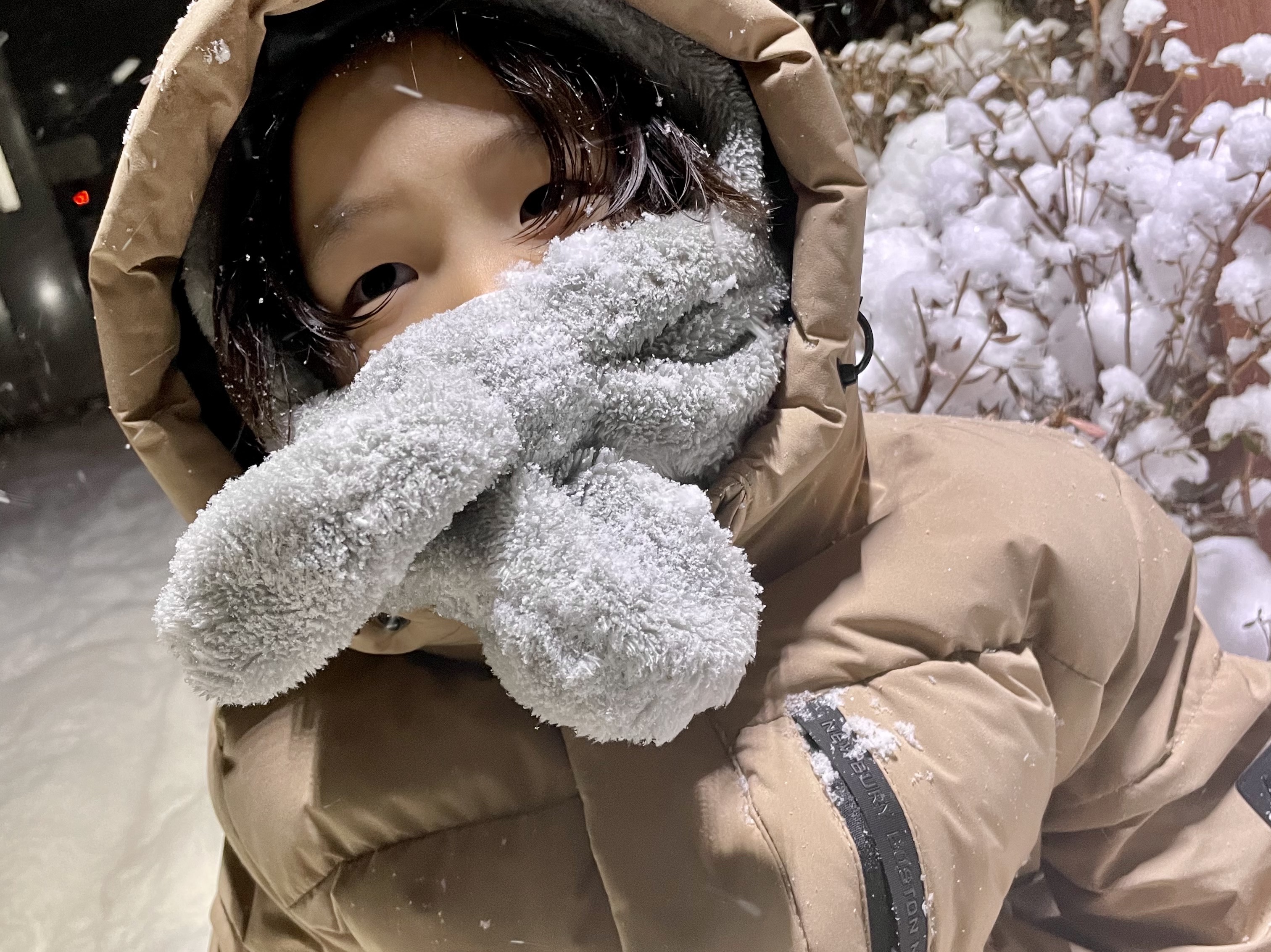 roybyroy님의 스타일 - 1