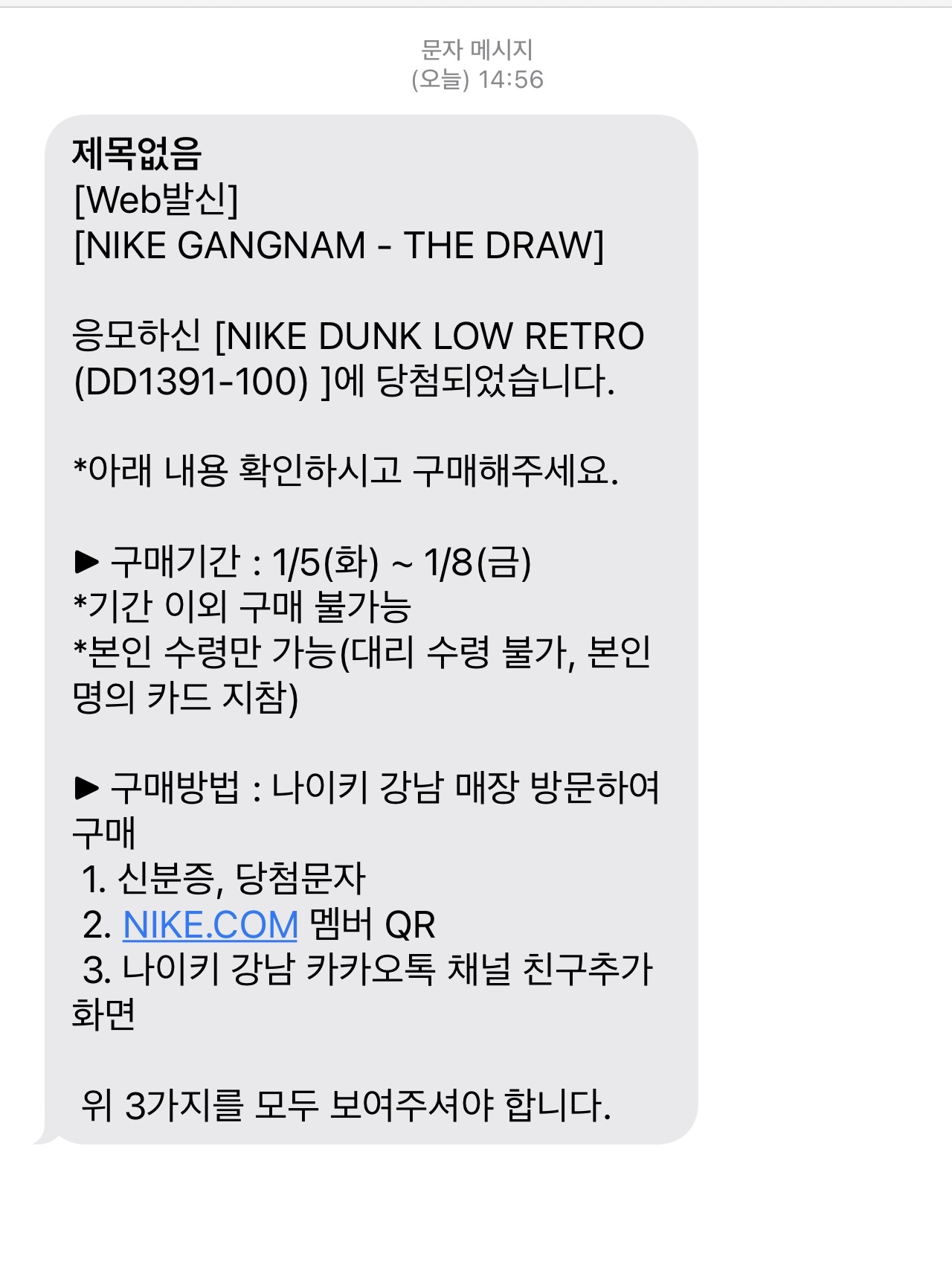 Nike Dunk Low Retro Black 착용 스타일
