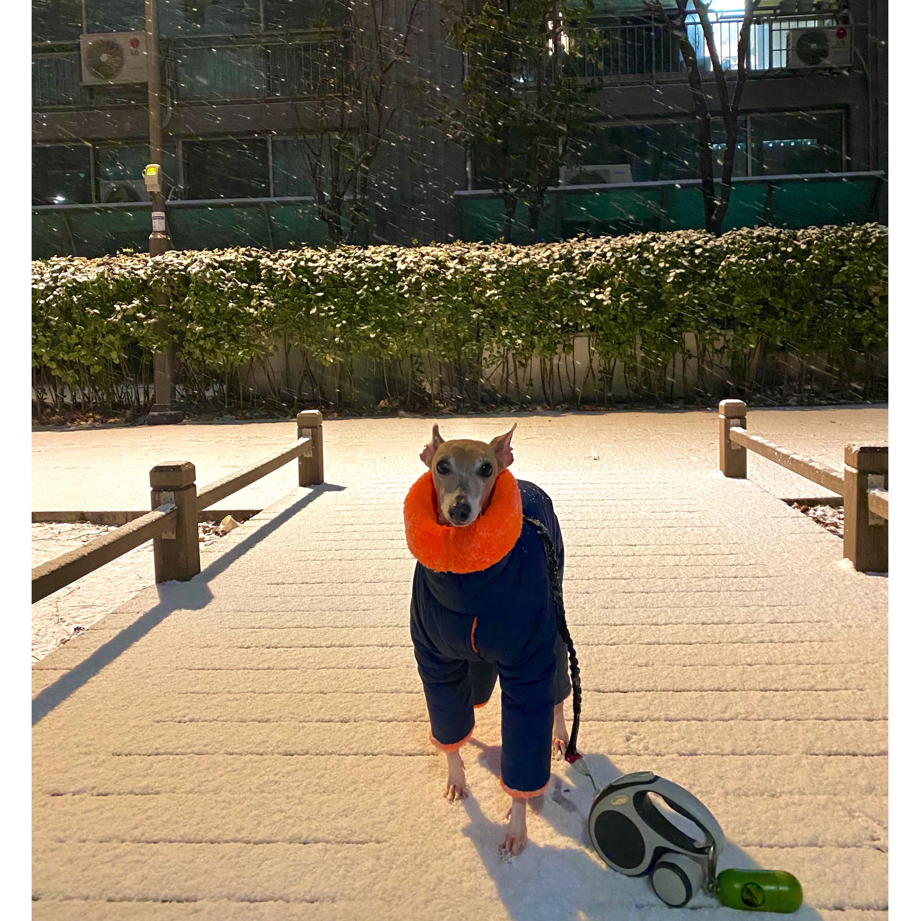 ์์
์ด๋ฏธ์ง