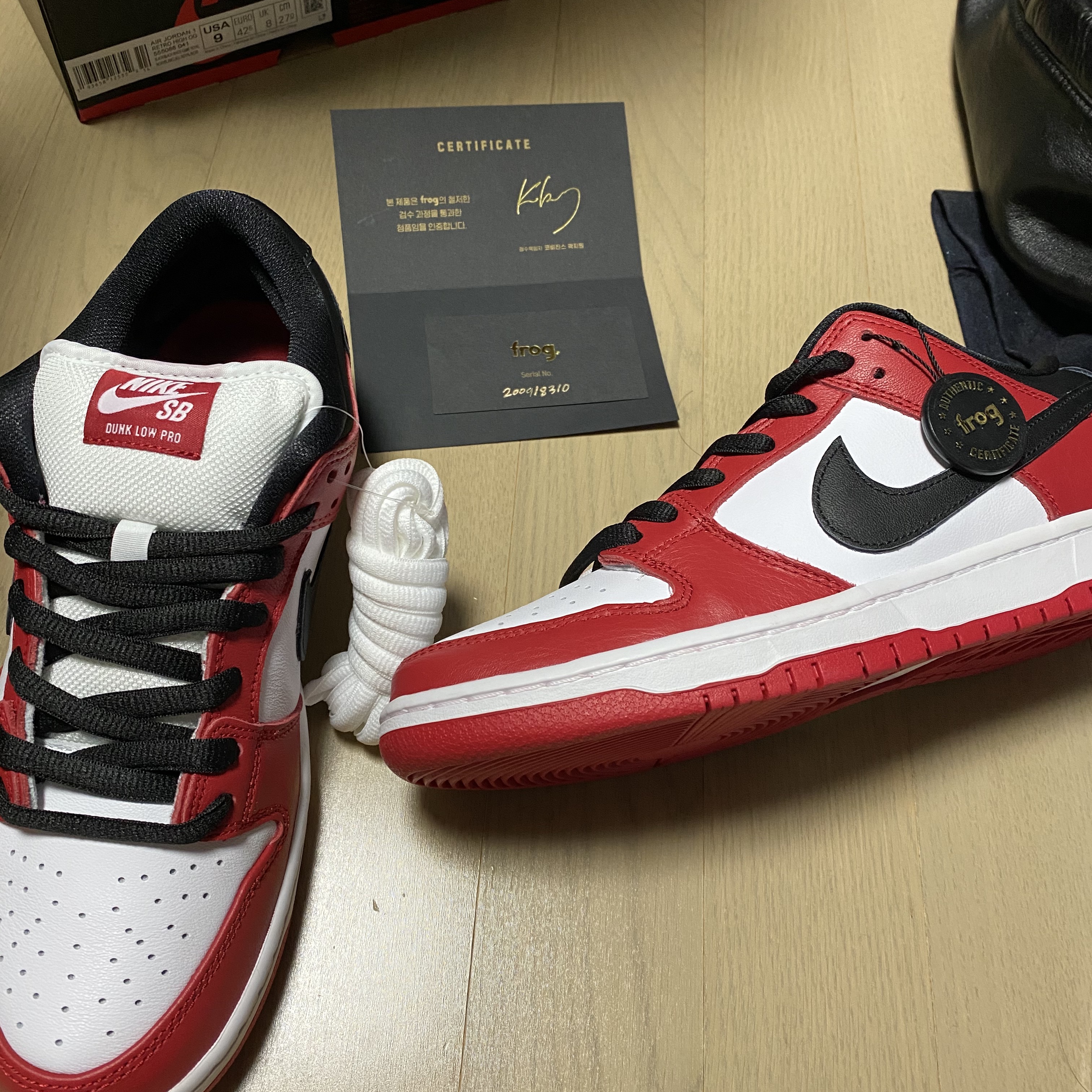 Nike SB Dunk Low Pro Chicago 착용 스타일