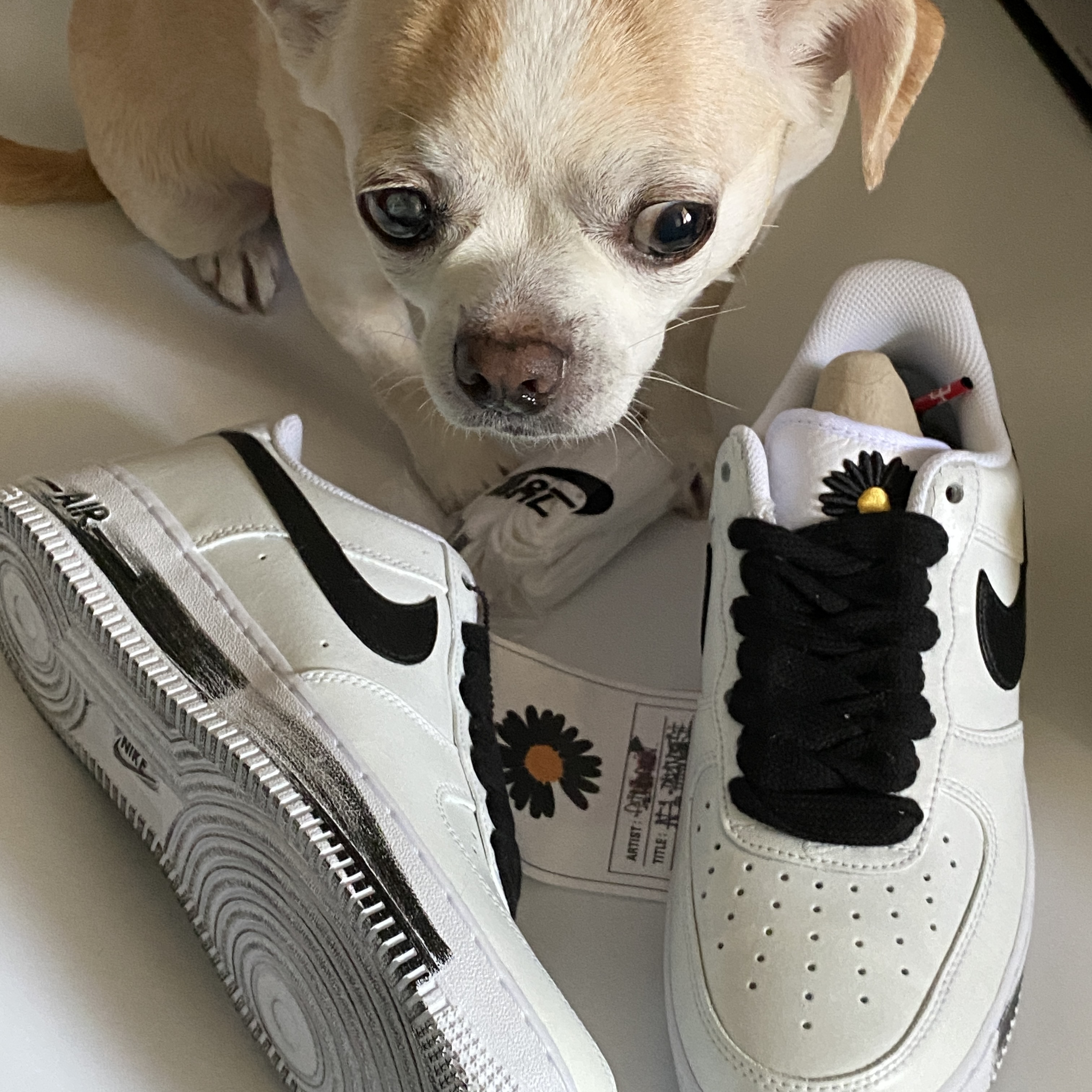 Nike x Peaceminusone Air Force 1 Low Para-Noise 2.0 착용 스타일