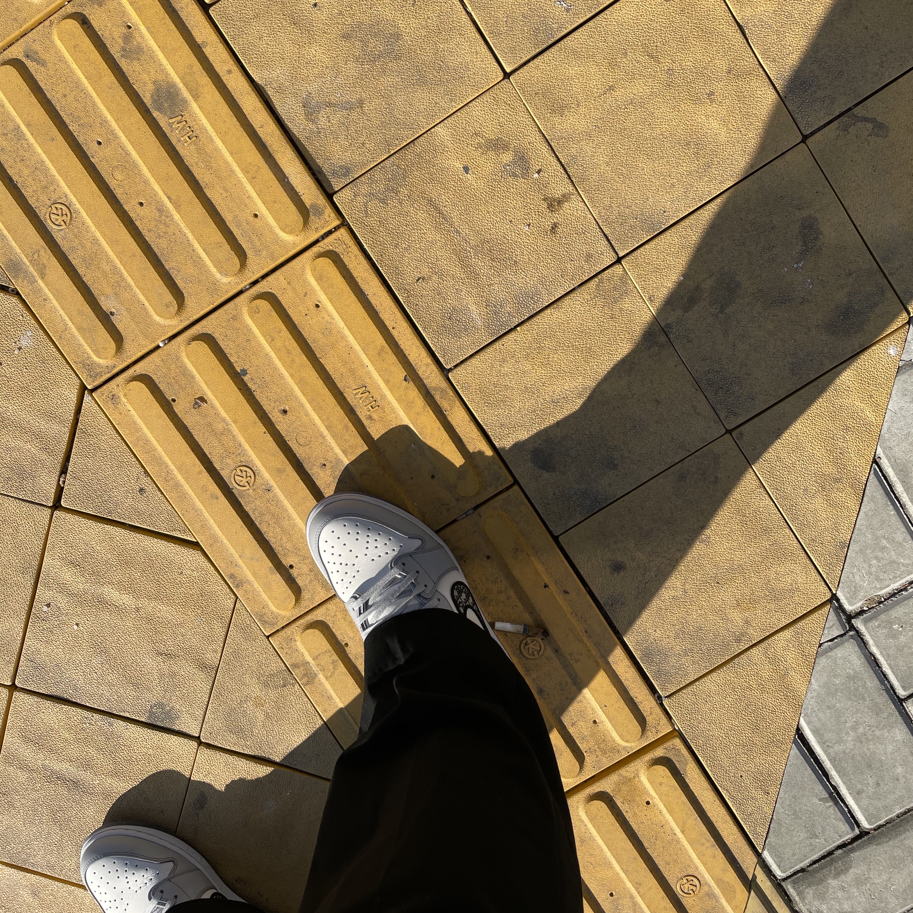 Jordan 1 x Dior Low OG 착용 스타일