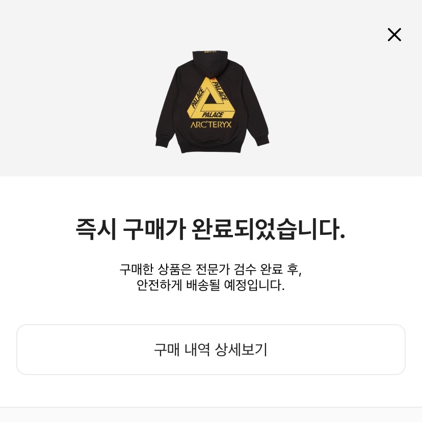 Palace x Arc'teryx Hood Black - 20FW 착용 스타일