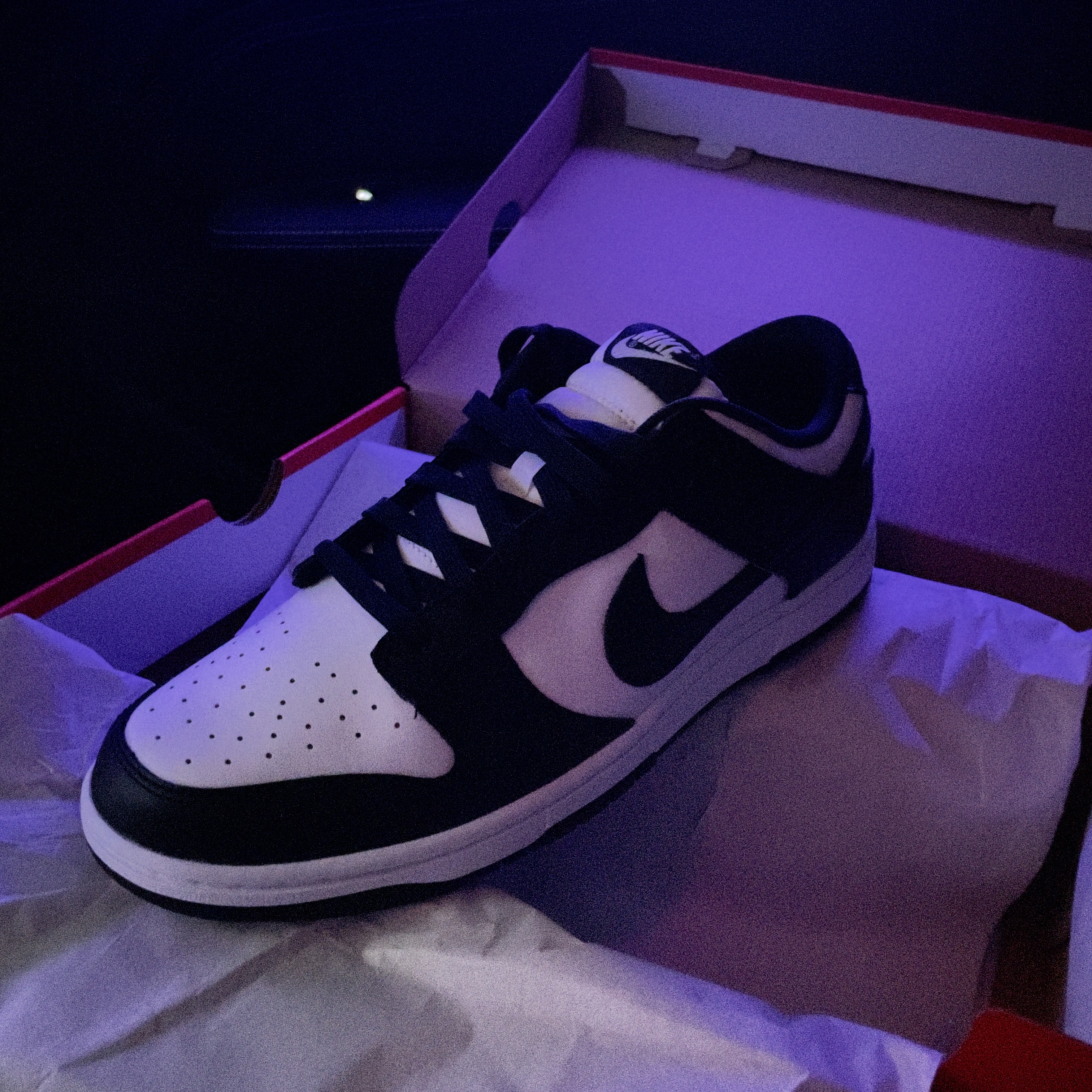 Nike Dunk Low Retro Black 착용 스타일