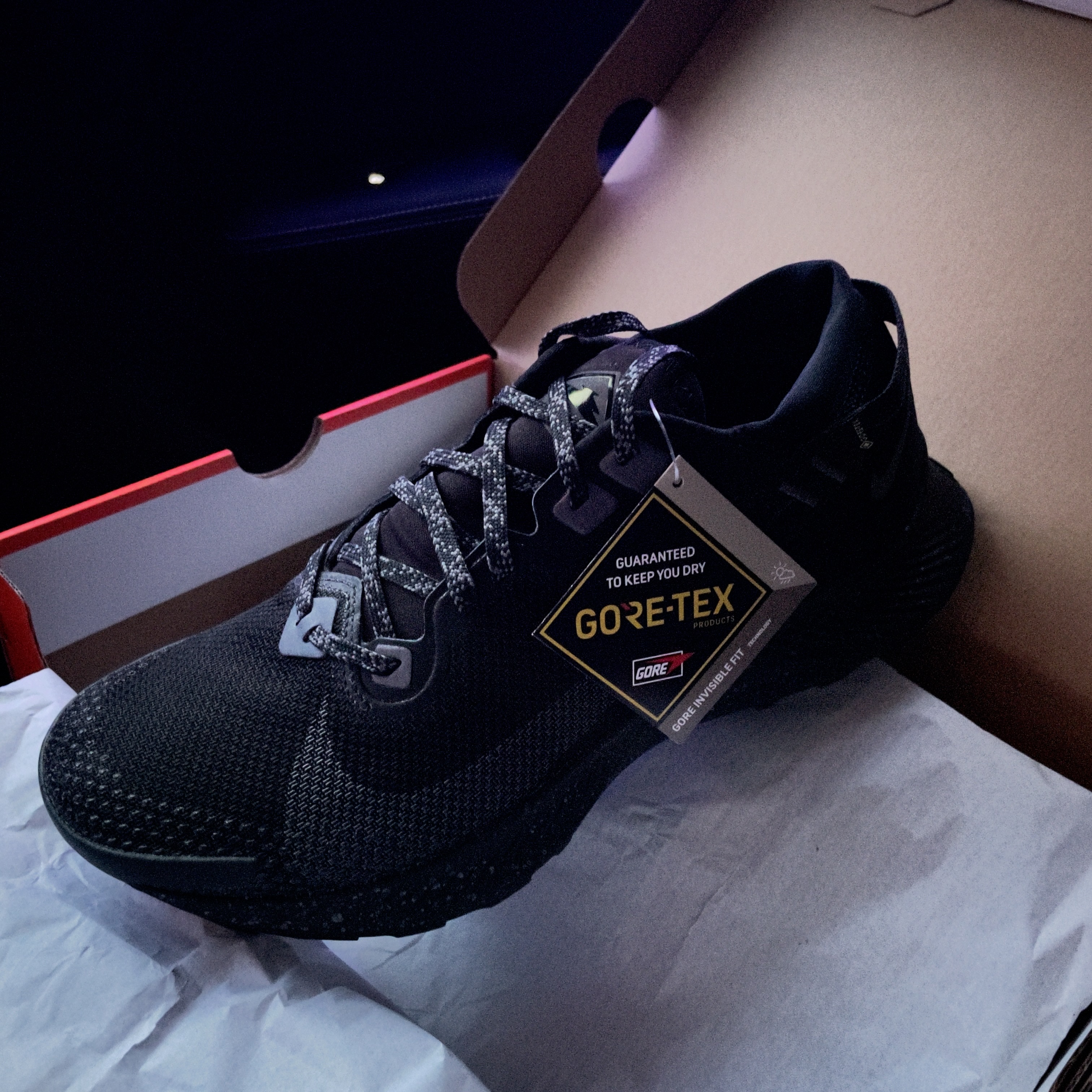 Nike Pegasus Trail 2 Gore-Tex Pure Platinum 착용 스타일