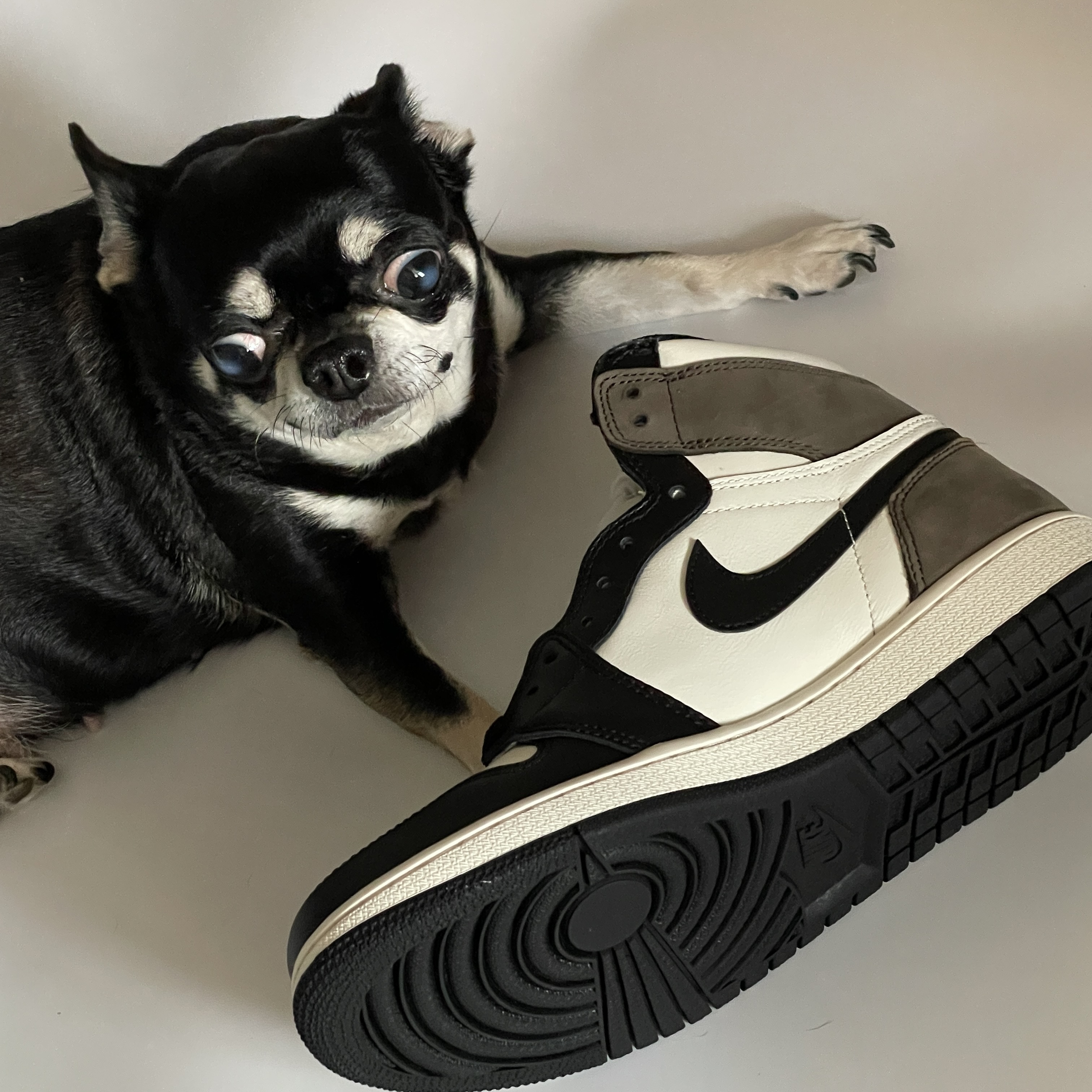 Jordan 1 Retro High OG Black Mocha 착용 스타일