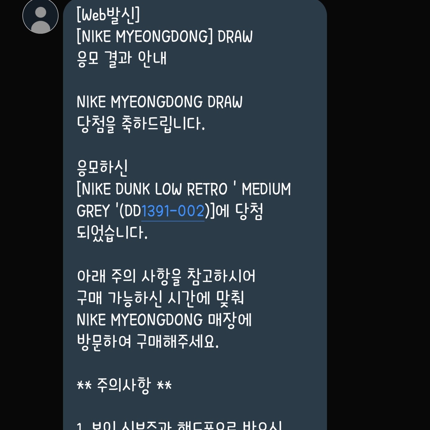 Nike Dunk Low Retro Medium Grey 착용 스타일