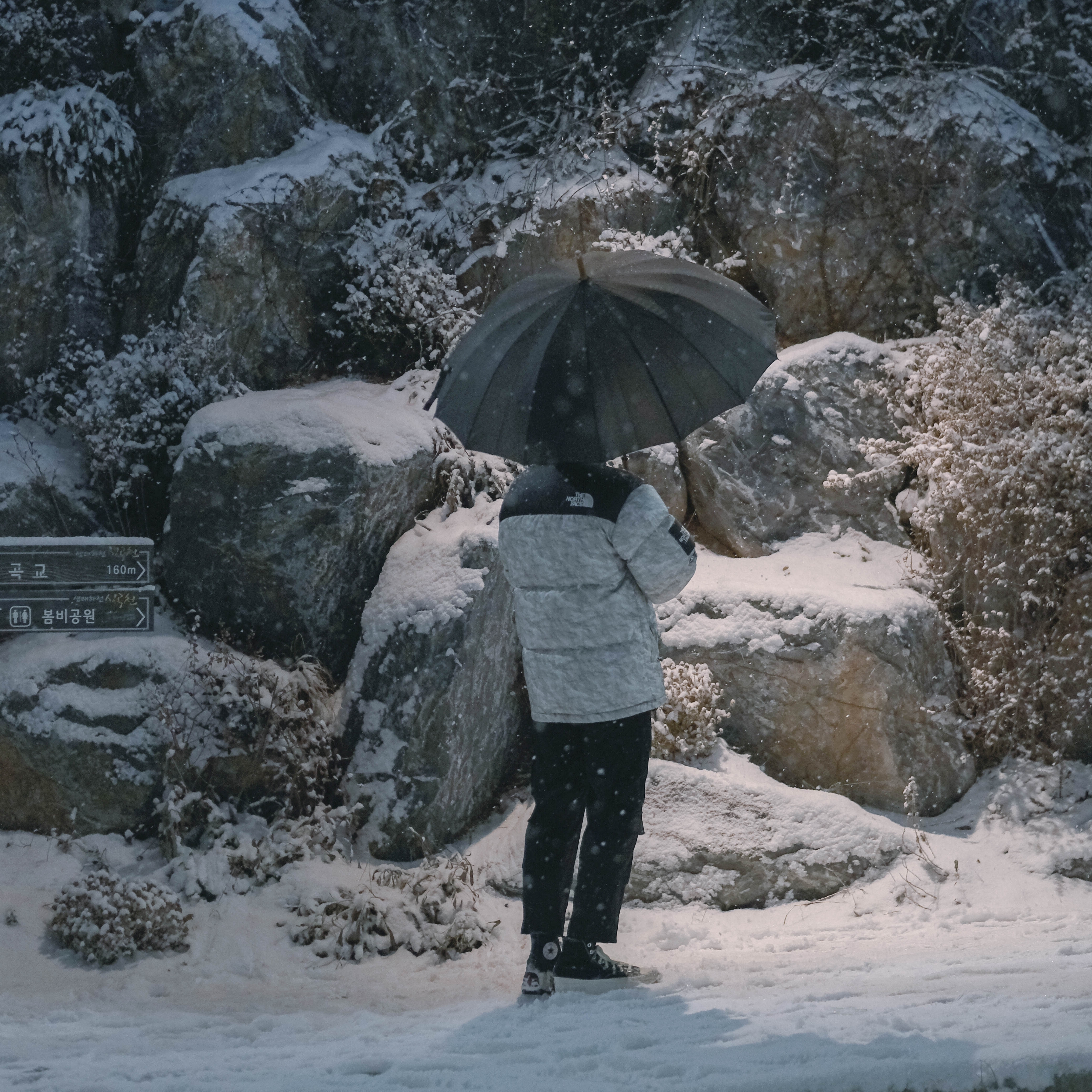 Converse x JW Anderson Run Star Hike Hi Black, Supreme x The North Face Paper Print Nuptse Jacket - 19FW 착용 스타일