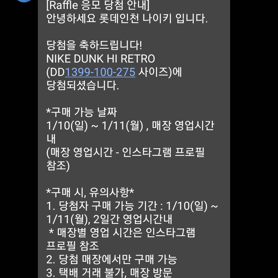 Nike Dunk High Retro Vast Grey 착용 스타일