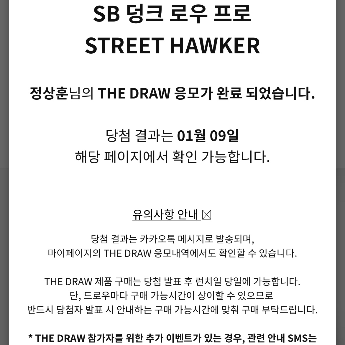 Nike SB Dunk Low Pro Street Hawker 착용 스타일