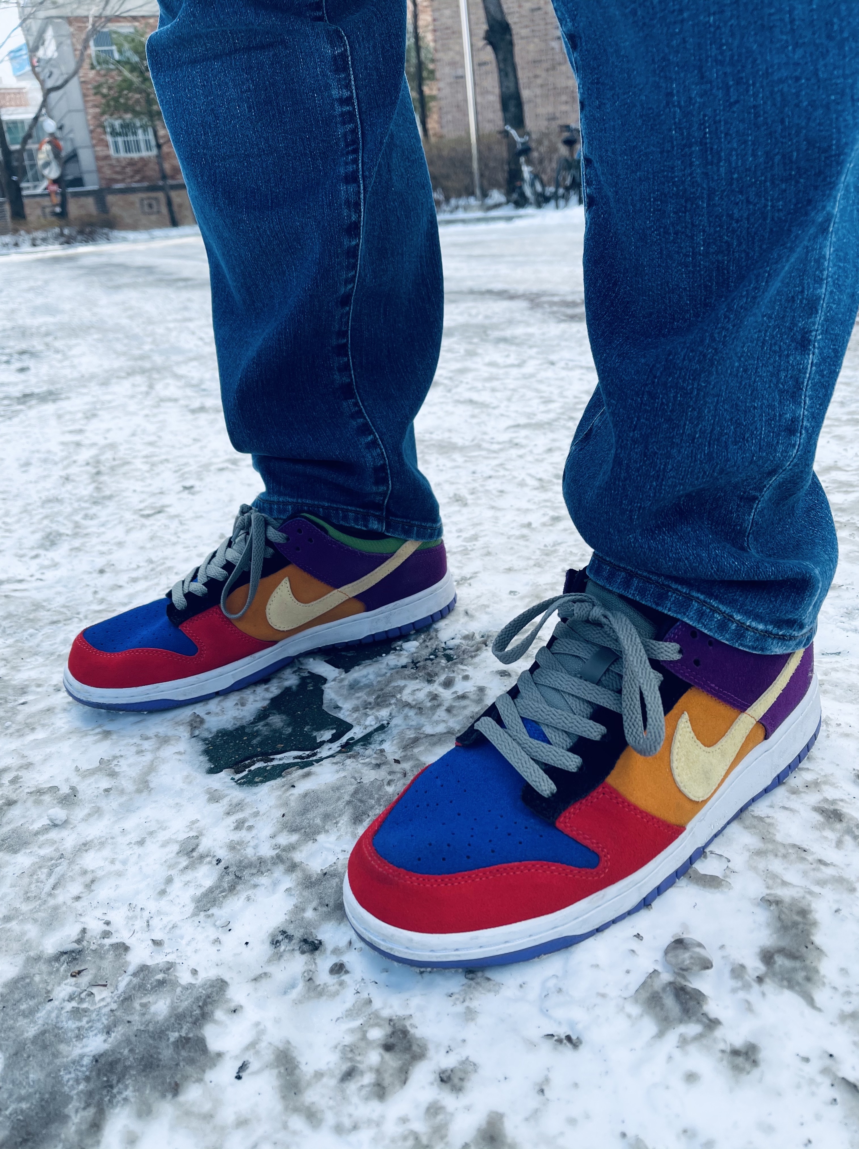 Nike Dunk Low SP Retro Viotech 2019 착용 스타일 - 2
