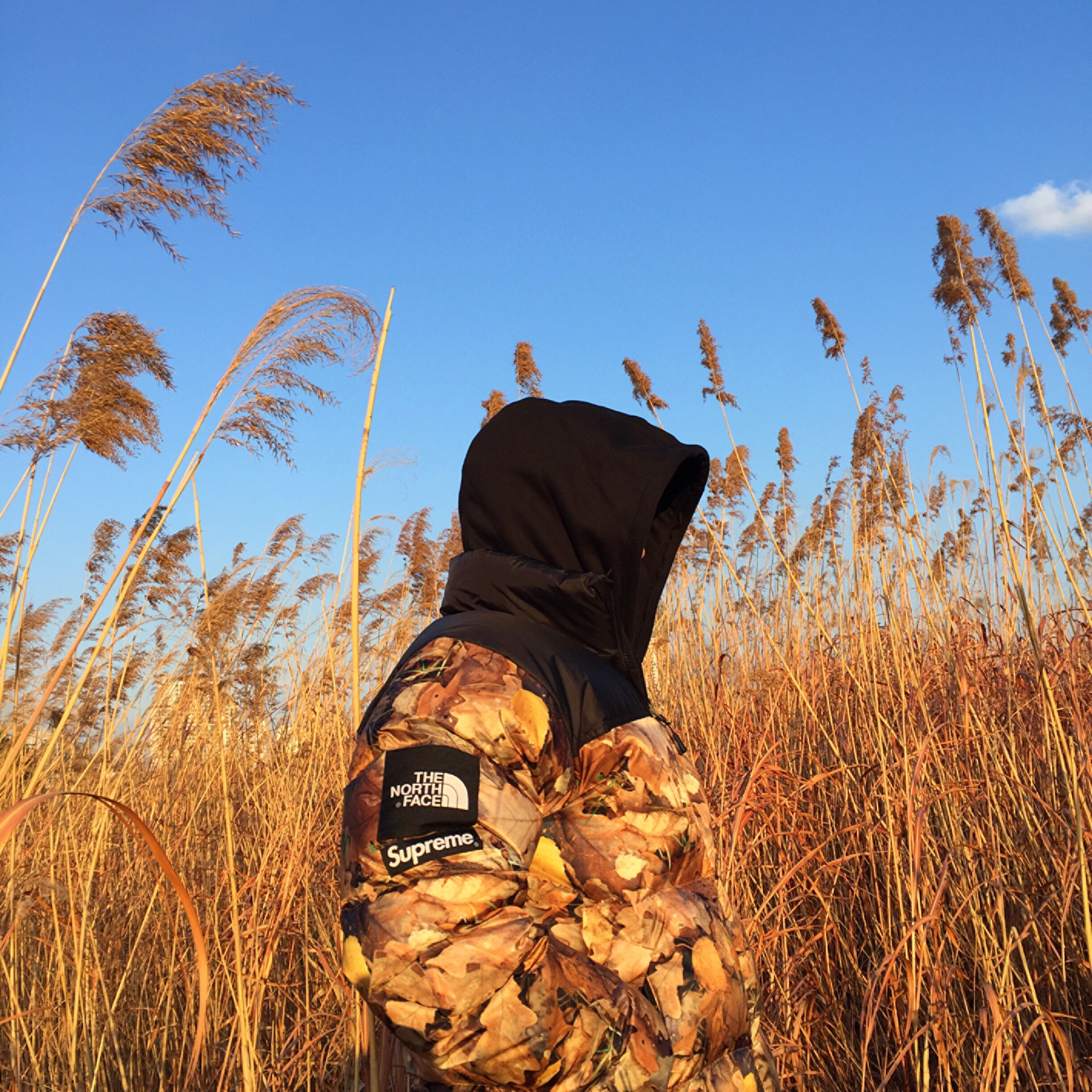 Supreme x The North Face Nuptse Leaves - 16FW 착용 스타일