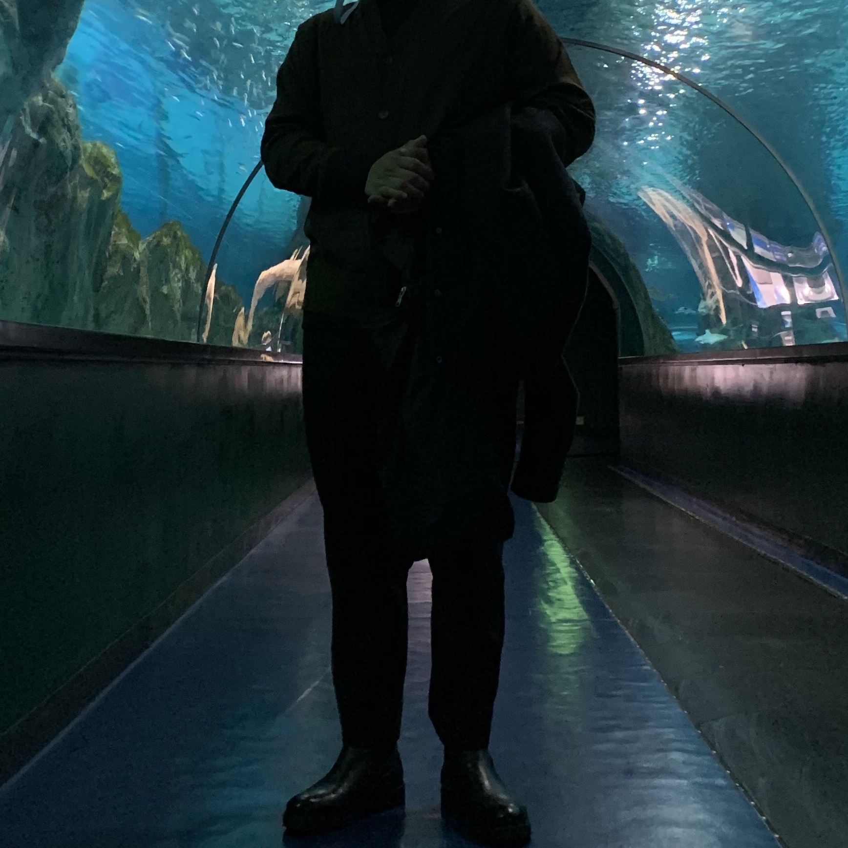 욘시님의 스타일