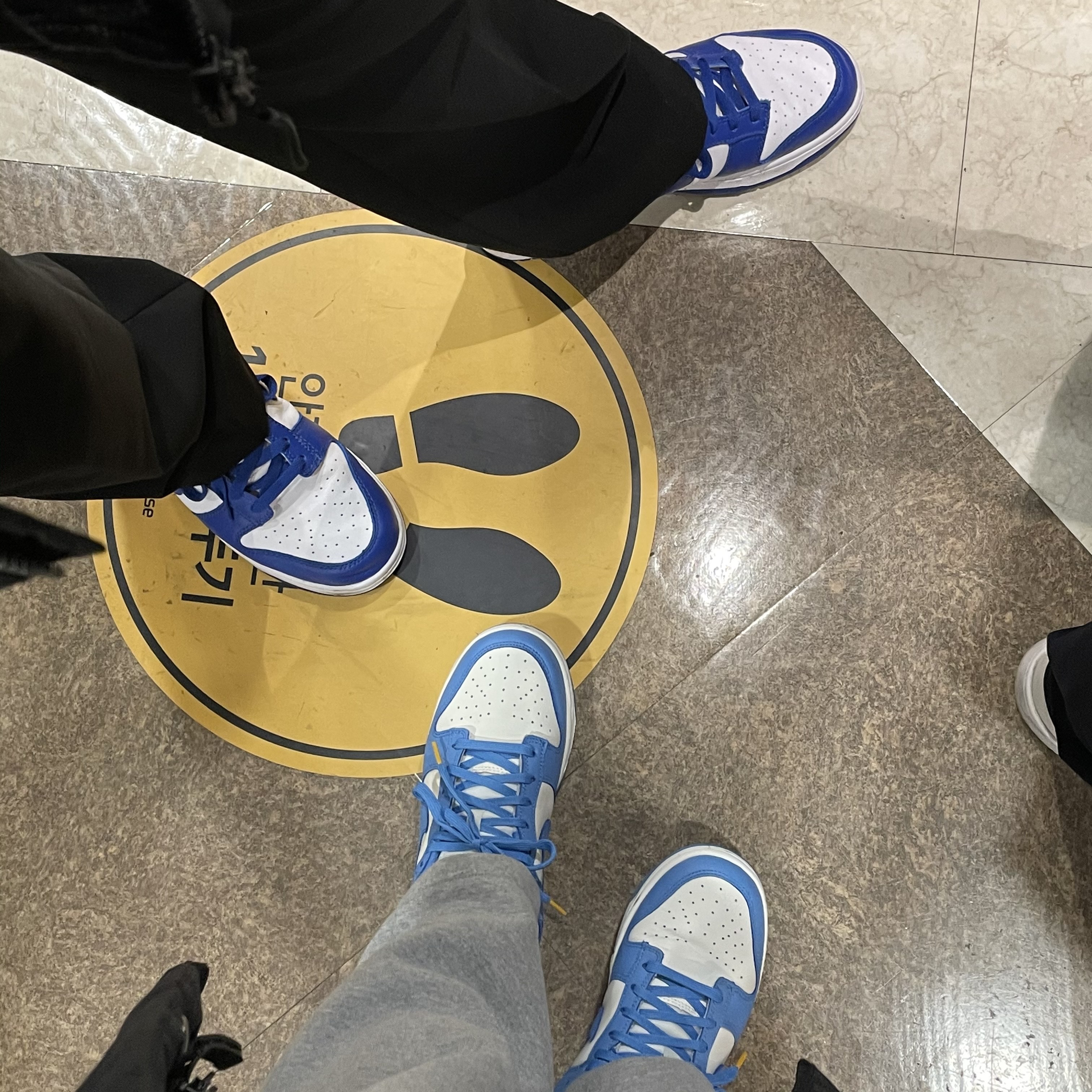 Nike Dunk Low SP Kentucky 2020, (W) Nike Dunk Low Coast 착용 스타일
