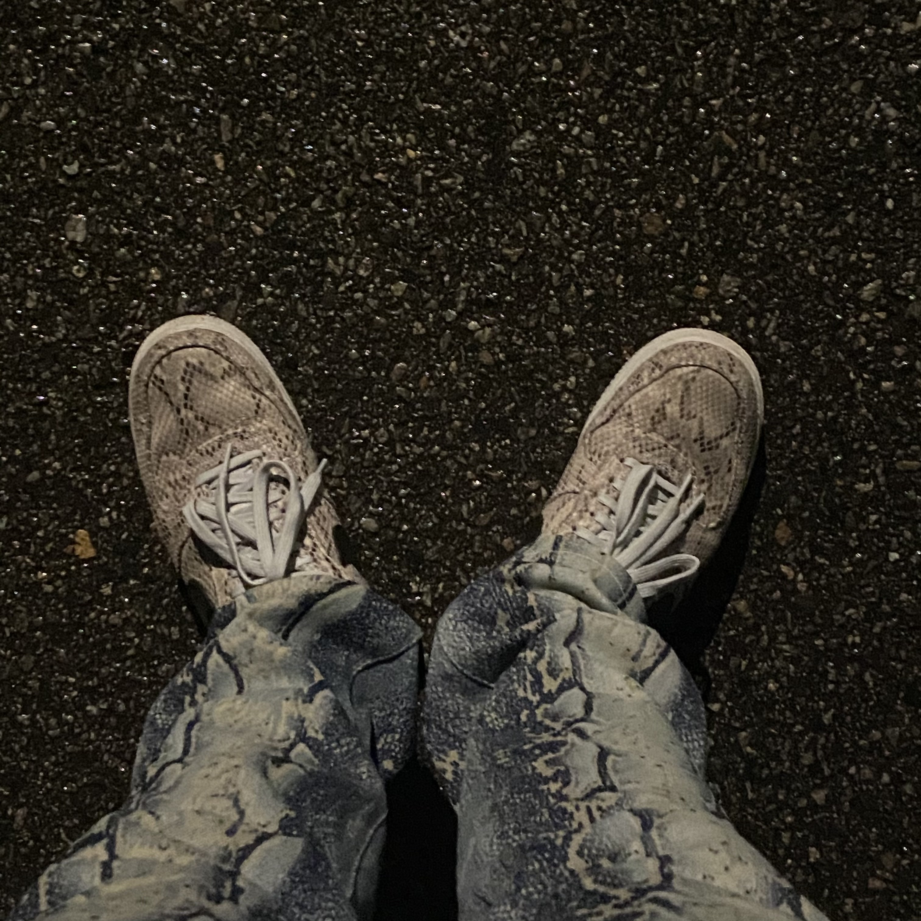 Nike Air Force 1 Low Snakeskin 2019 착용 스타일