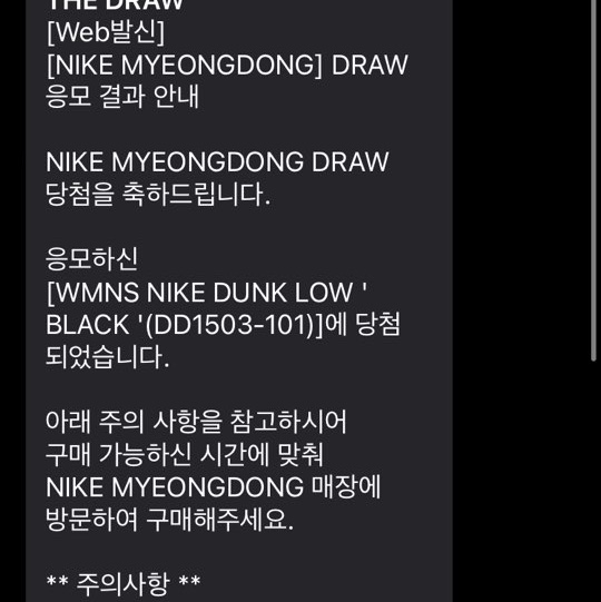 Nike Dunk Low Retro Black 착용 스타일 - 2