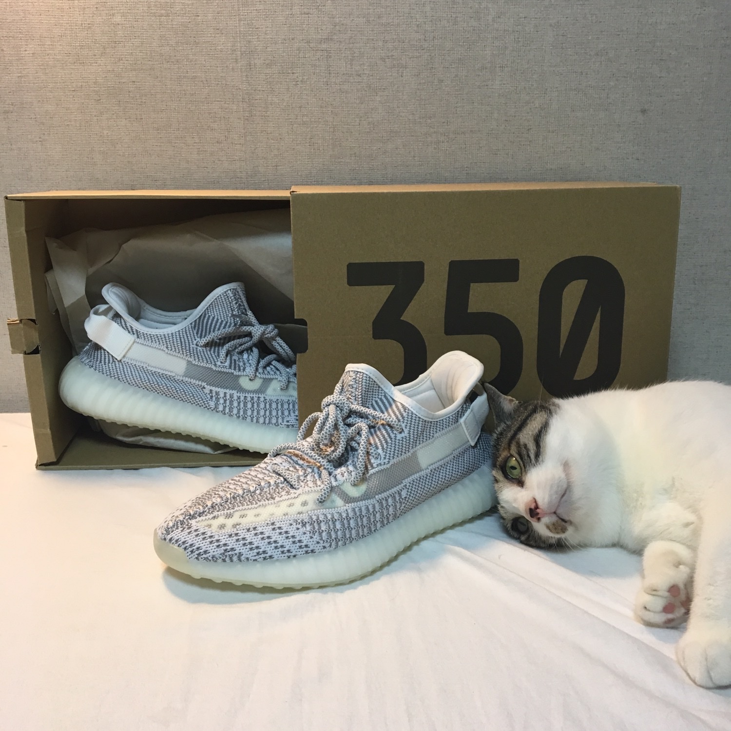 Adidas Yeezy Boost 350 V2 Static - Non-Reflective 2018 착용 스타일 - 1