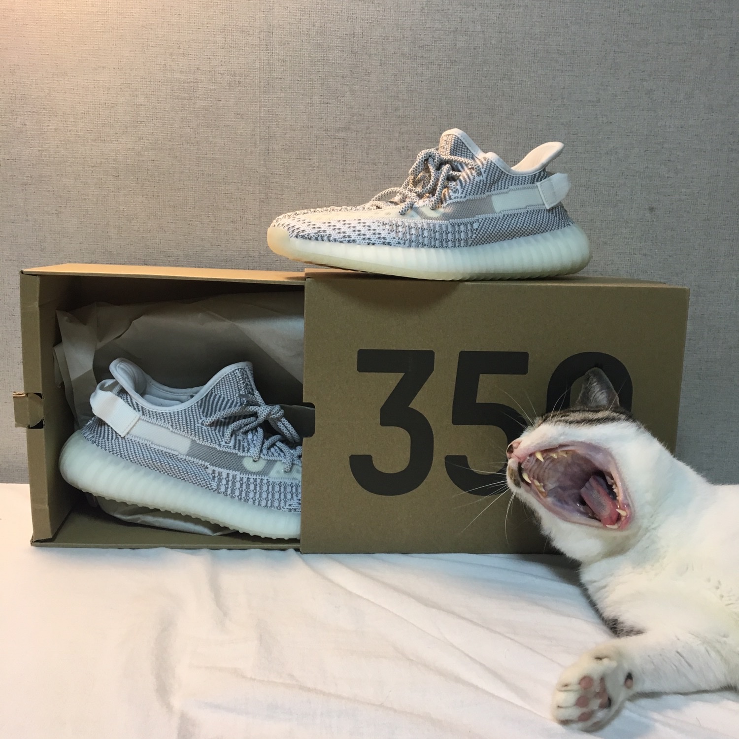 Adidas Yeezy Boost 350 V2 Static - Non-Reflective 2018 착용 스타일 - 2
