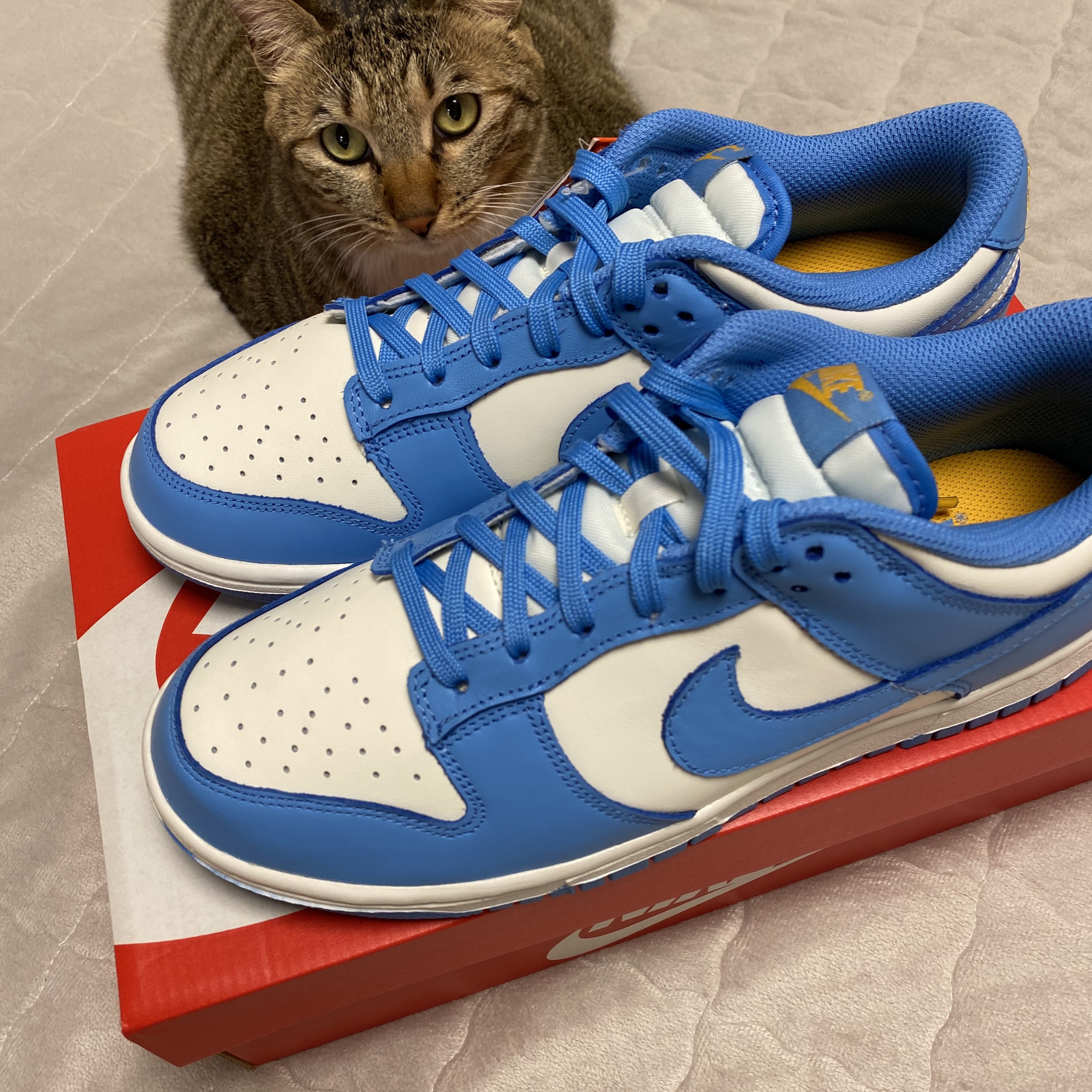 (W) Nike Dunk Low Coast 착용 스타일 - 3